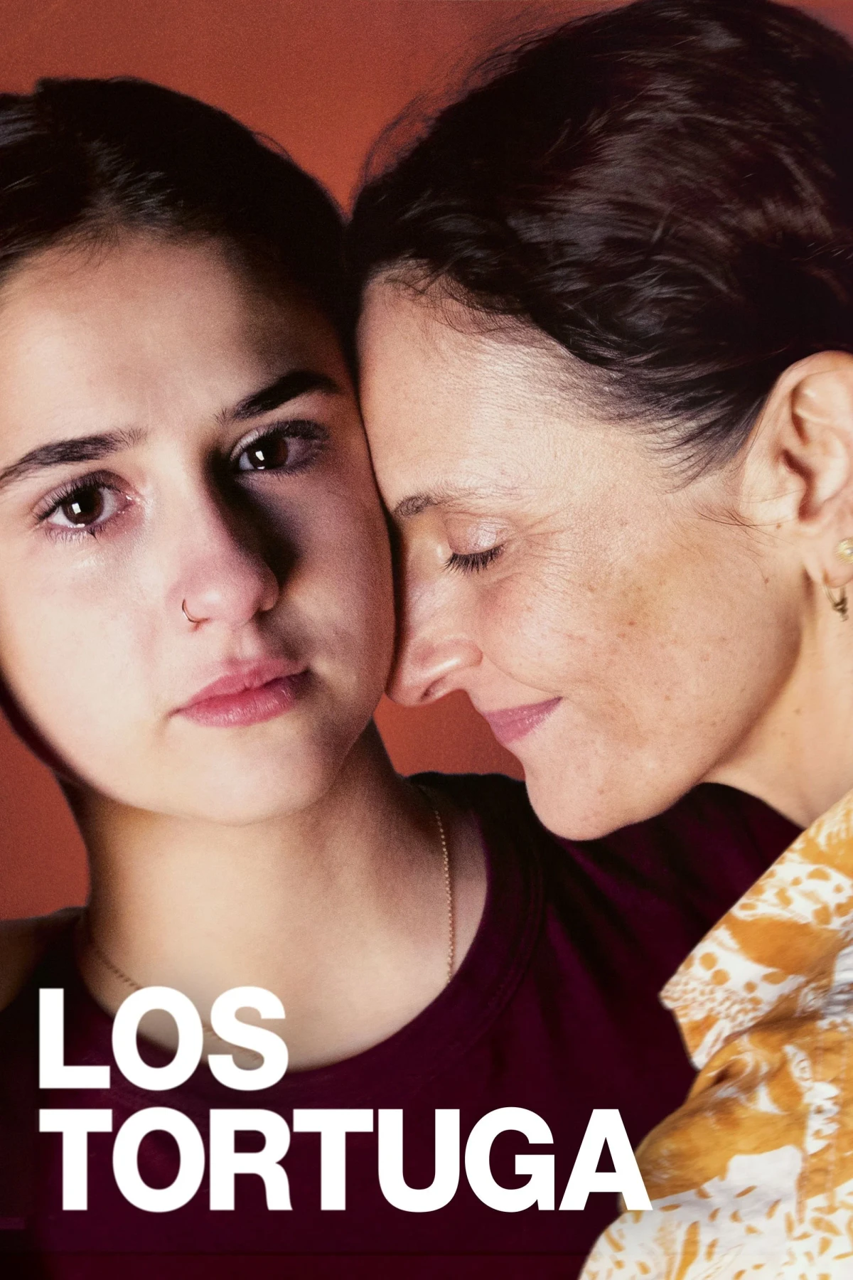 Постер фильма Черепаха