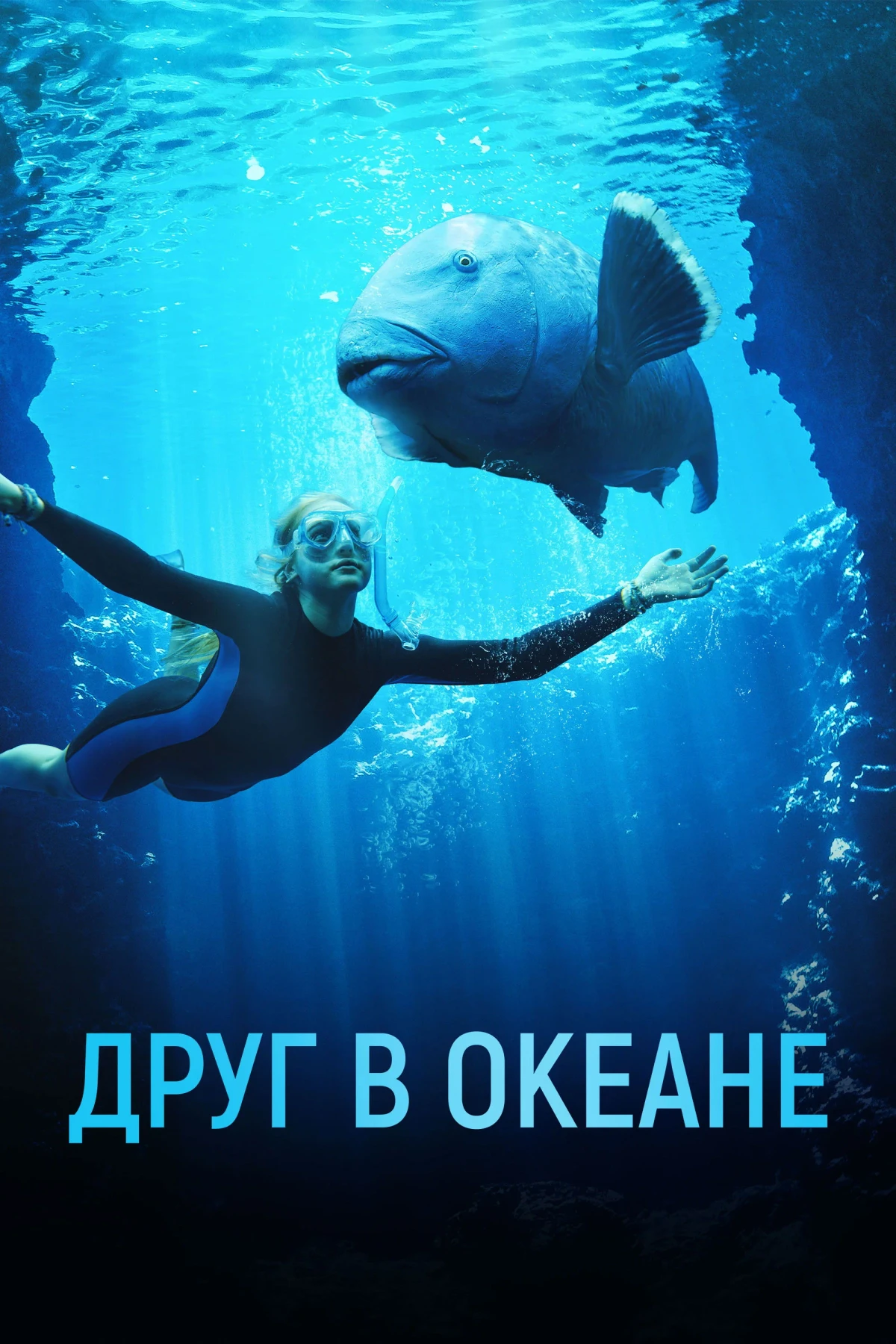 Постер фильма Друг в океане