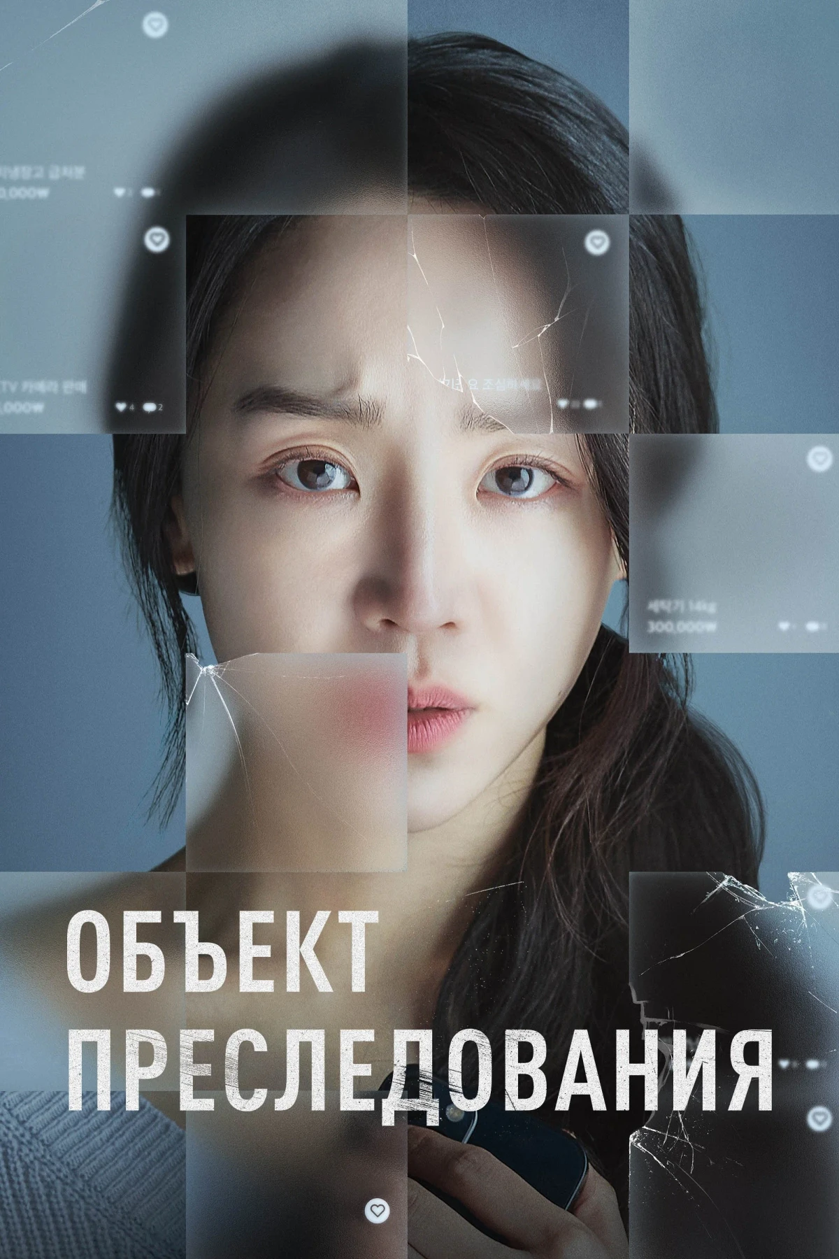 Постер фильма Объект преследования