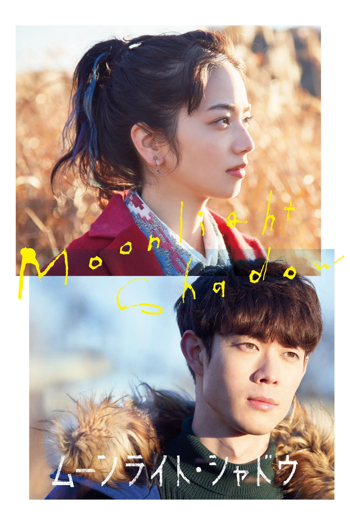 Постер фильма Лунная тень