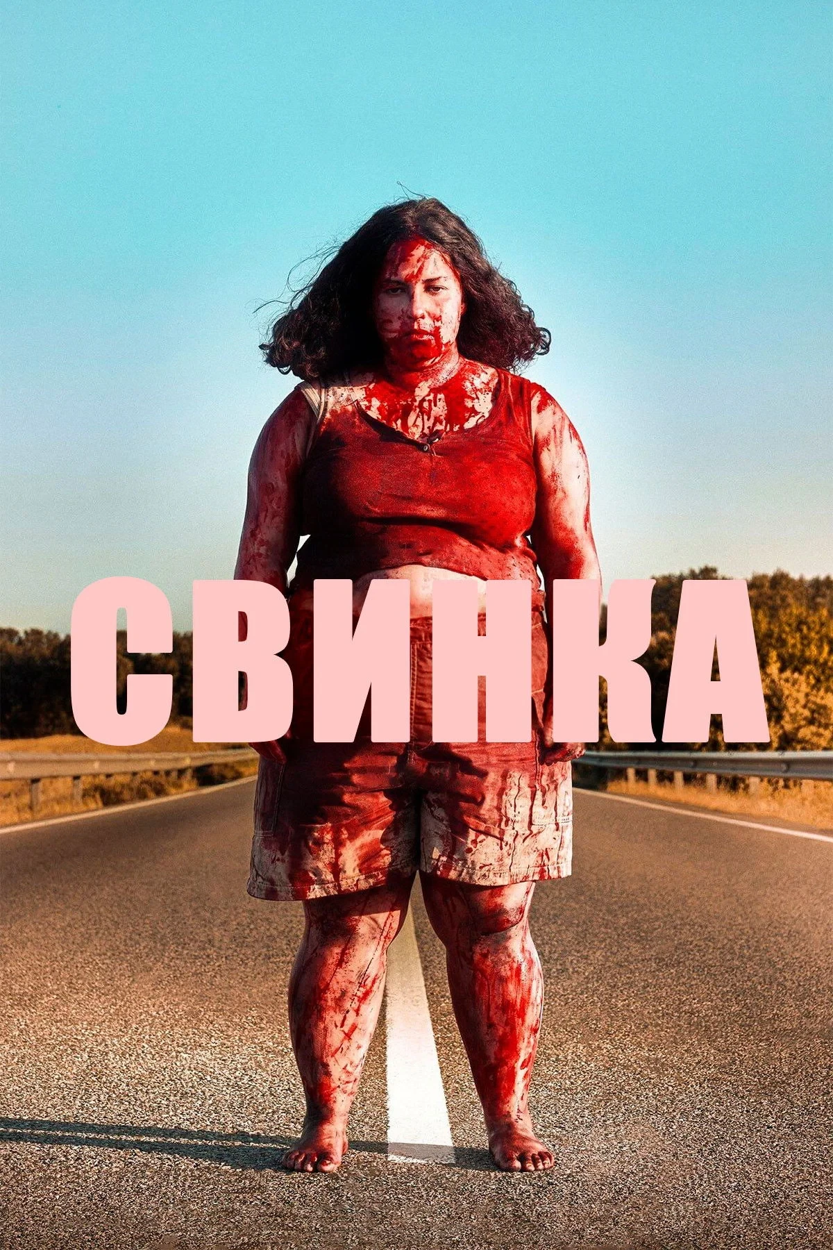 Постер фильма Свинка