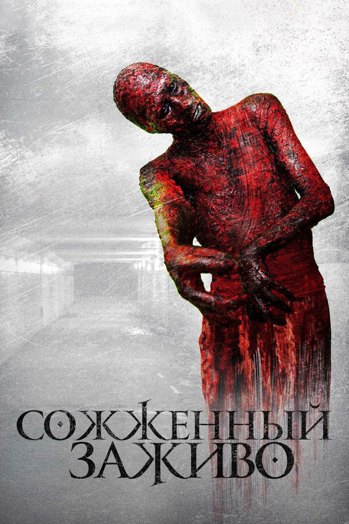 Постер фильма Сожженный заживо