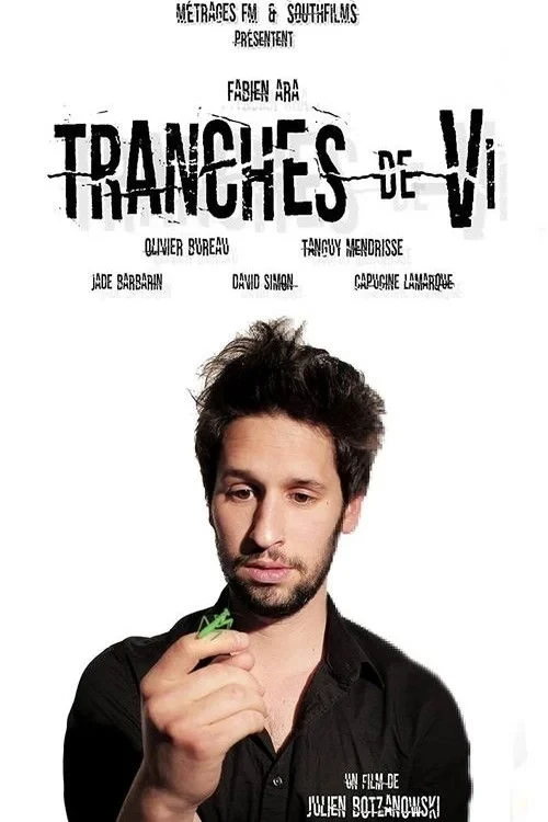 Постер фильма Кусочки Ви