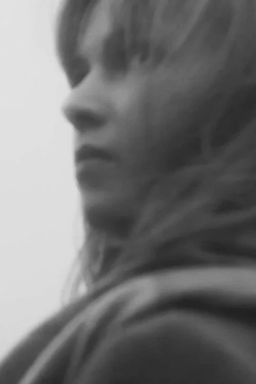 Постер фильма Транзит Венеры