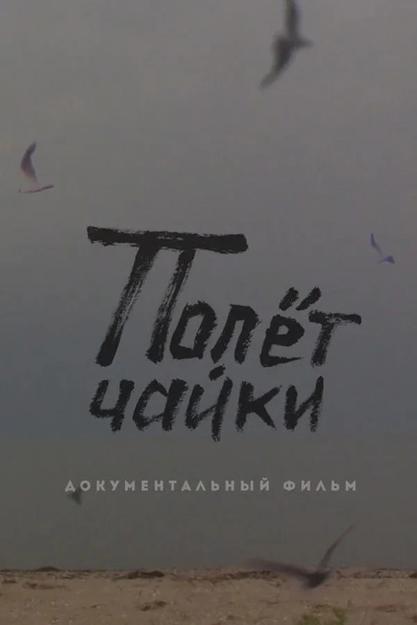 Постер фильма Полёт чайки