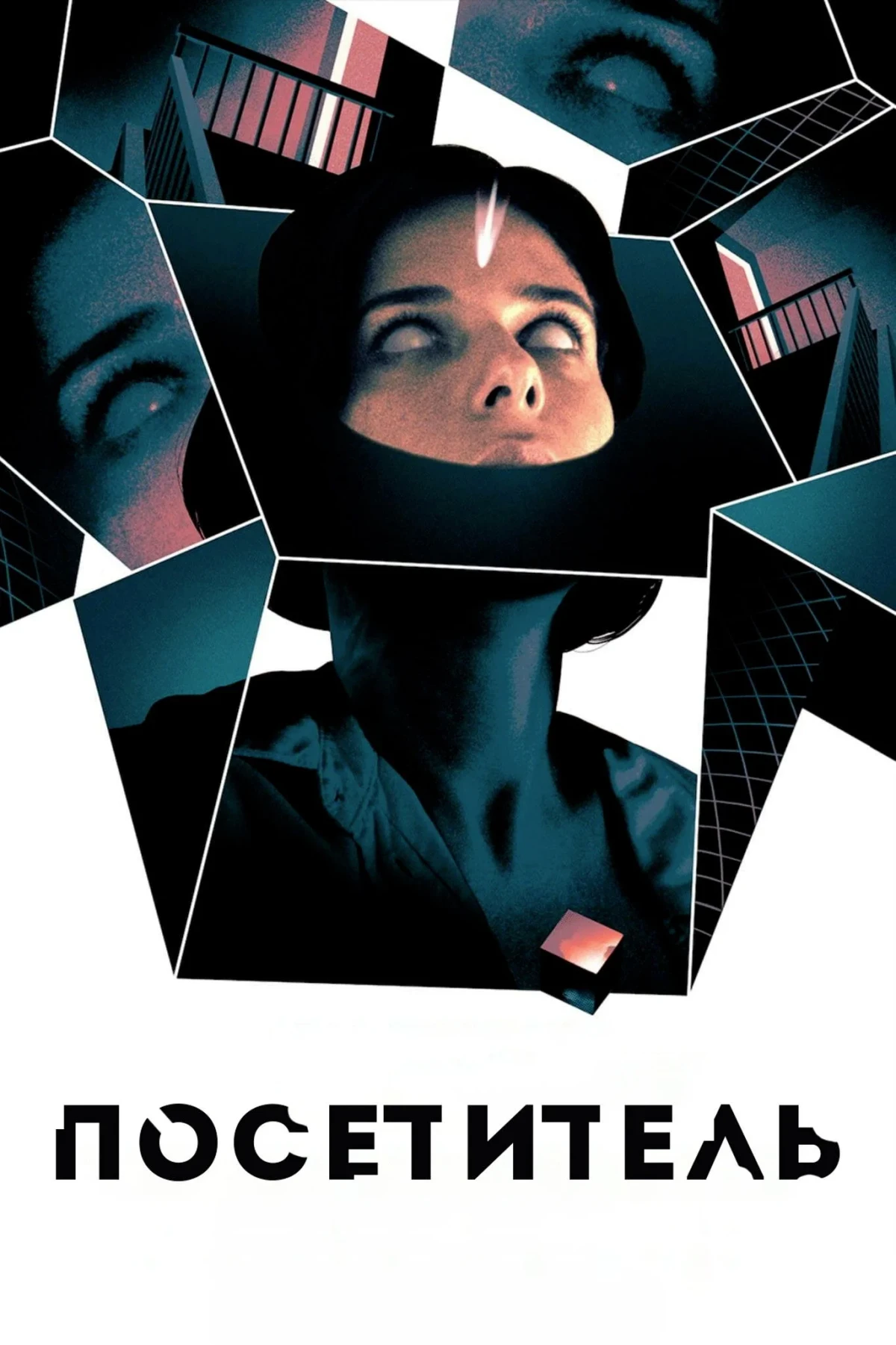 Постер фильма Посетитель