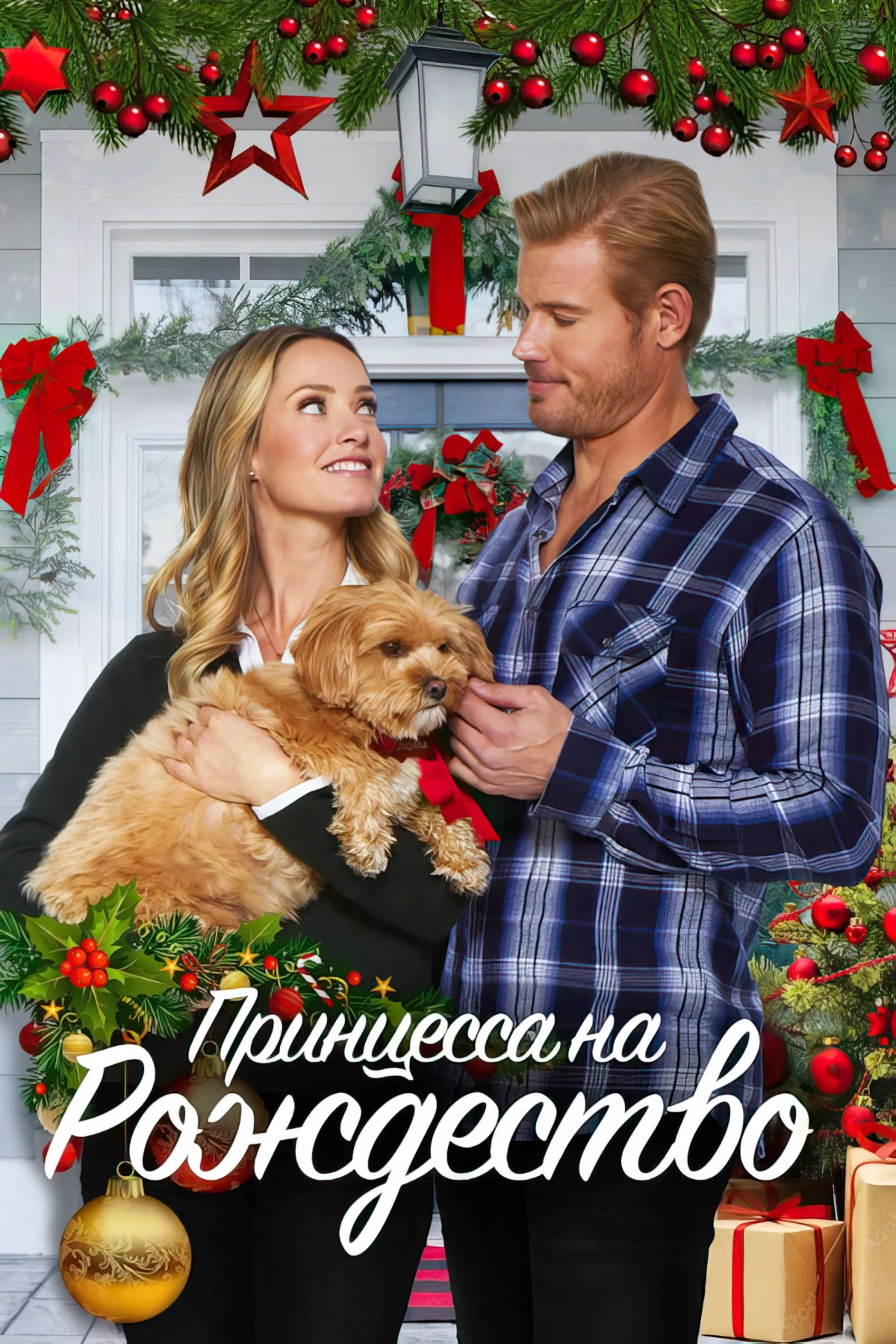 Постер фильма Принцесса на Рождество