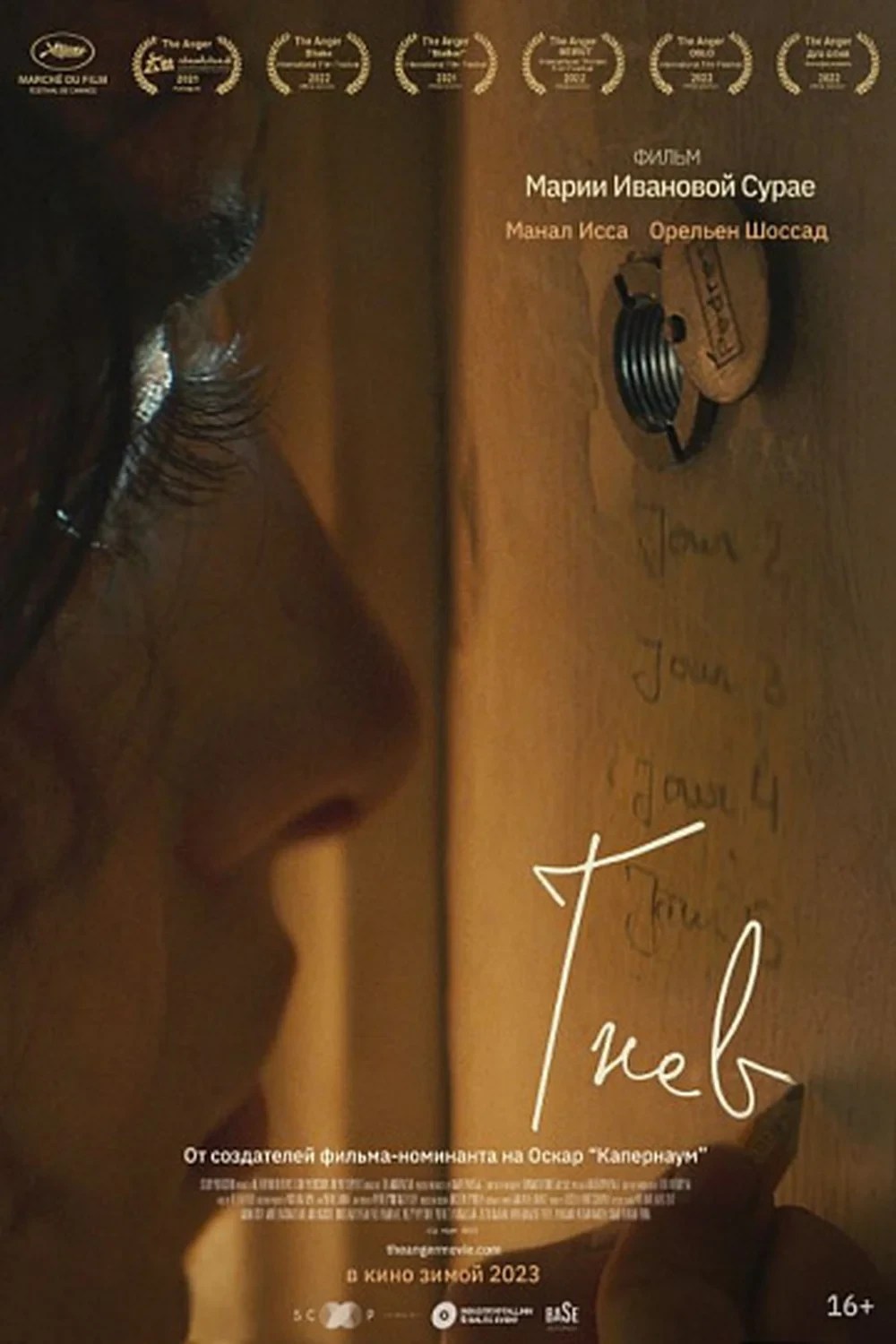 Постер фильма Гнев