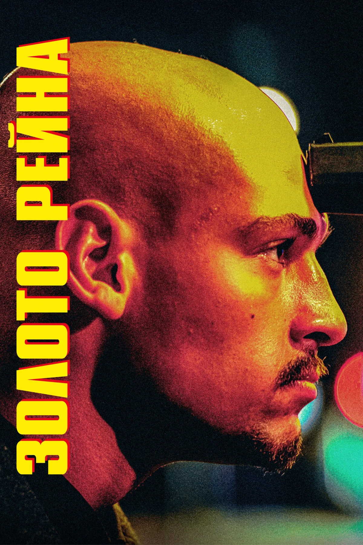 Постер фильма Золото Рейна