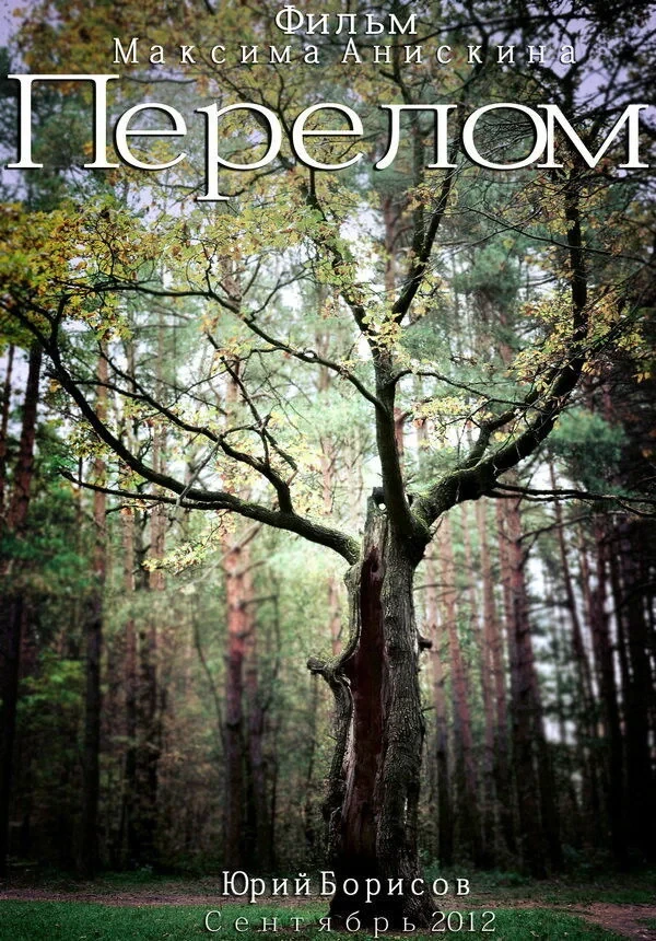 Постер фильма Перелом