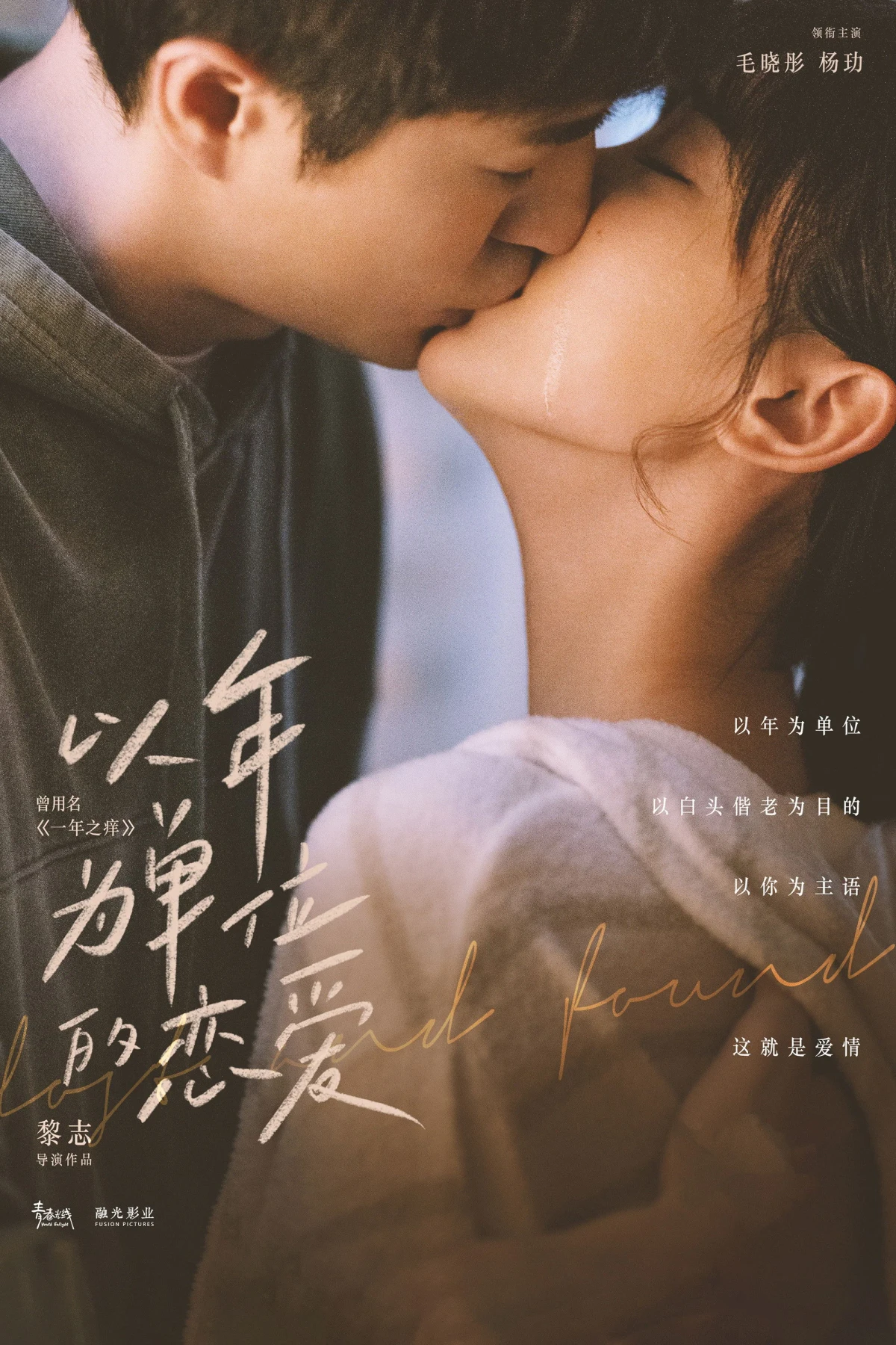 Постер фильма Потерять и найти