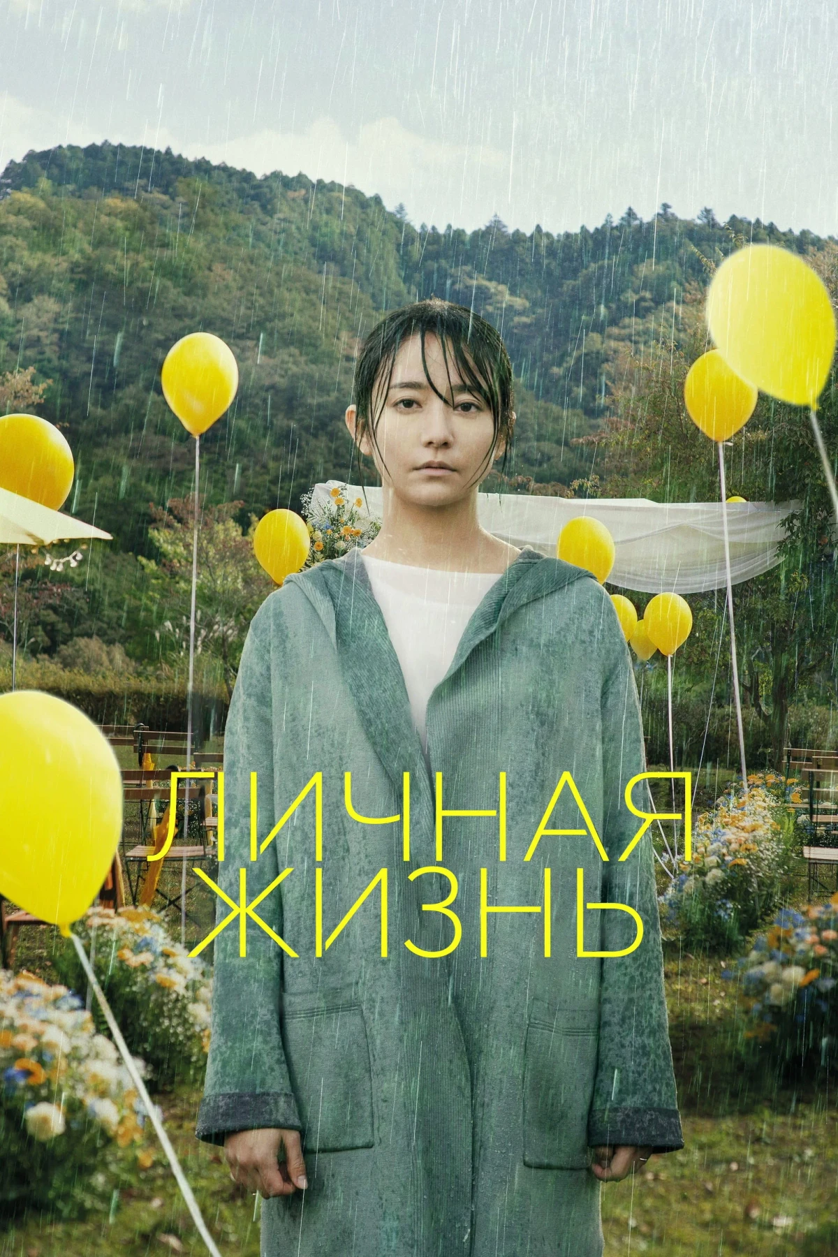 Постер фильма Личная жизнь