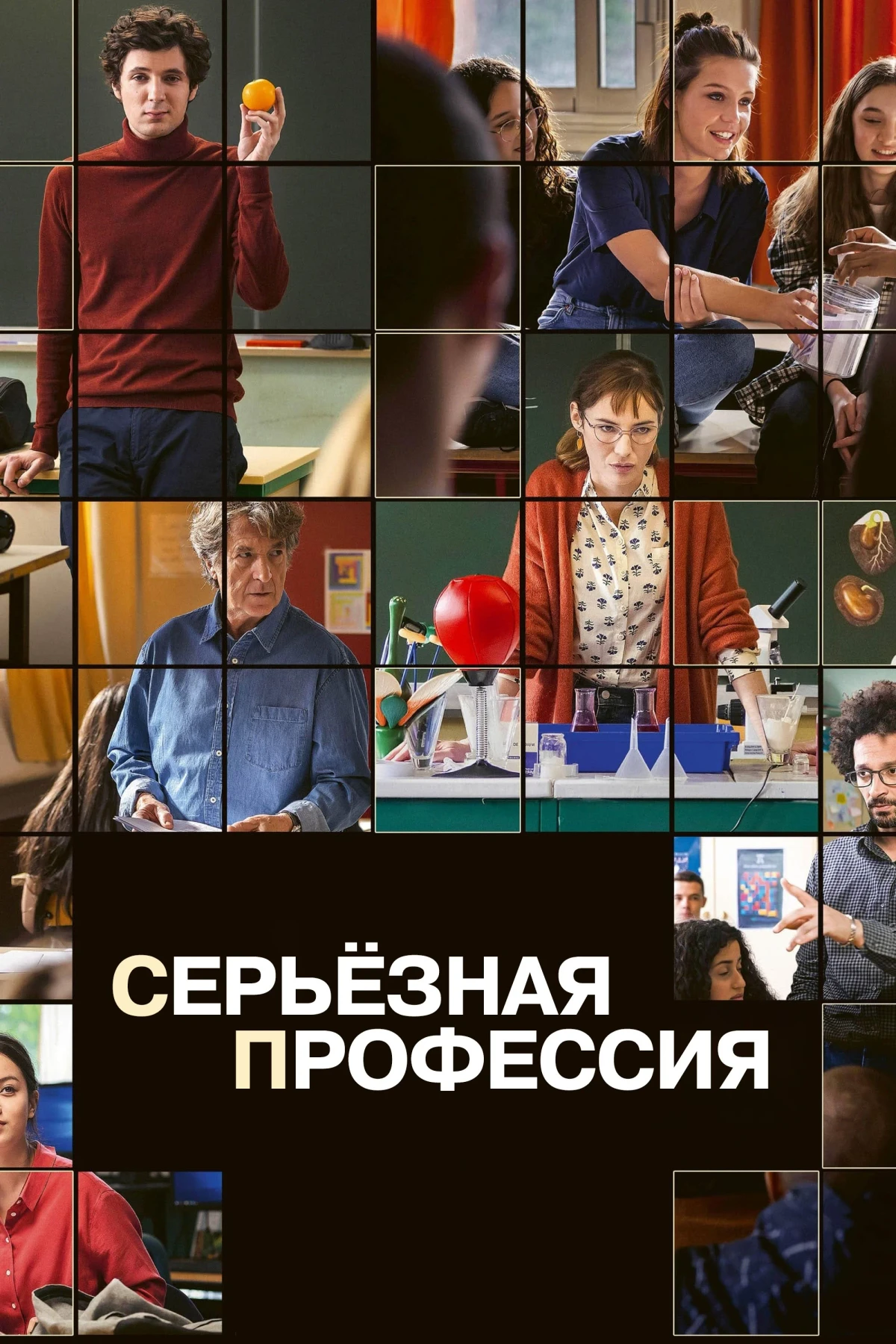 Постер фильма Серьезная профессия