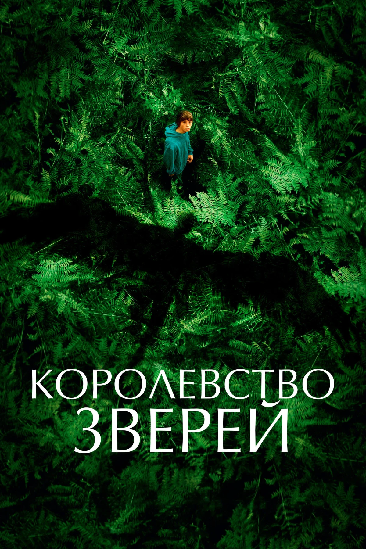 Постер фильма Королевство зверей