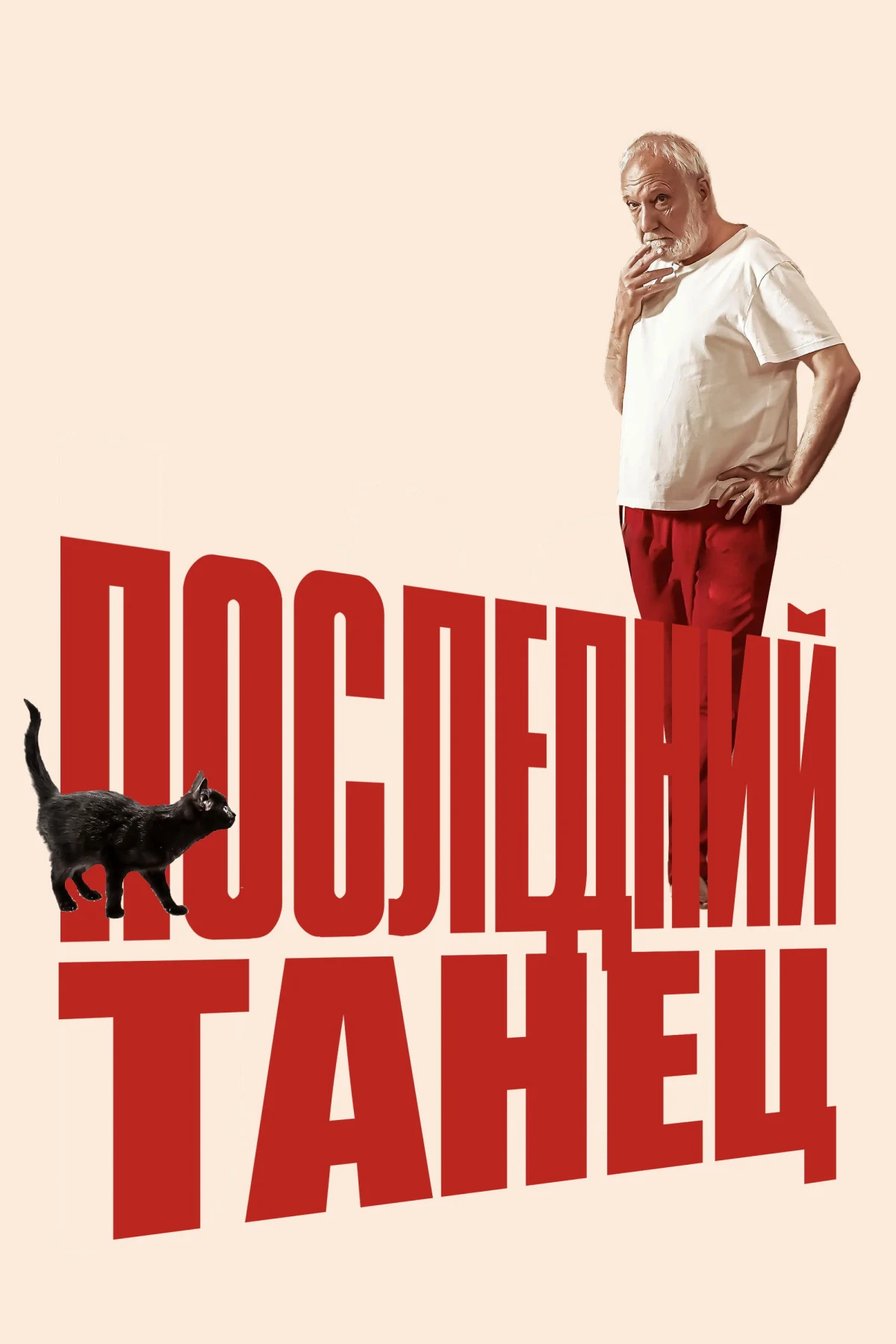 Постер фильма Последний танец