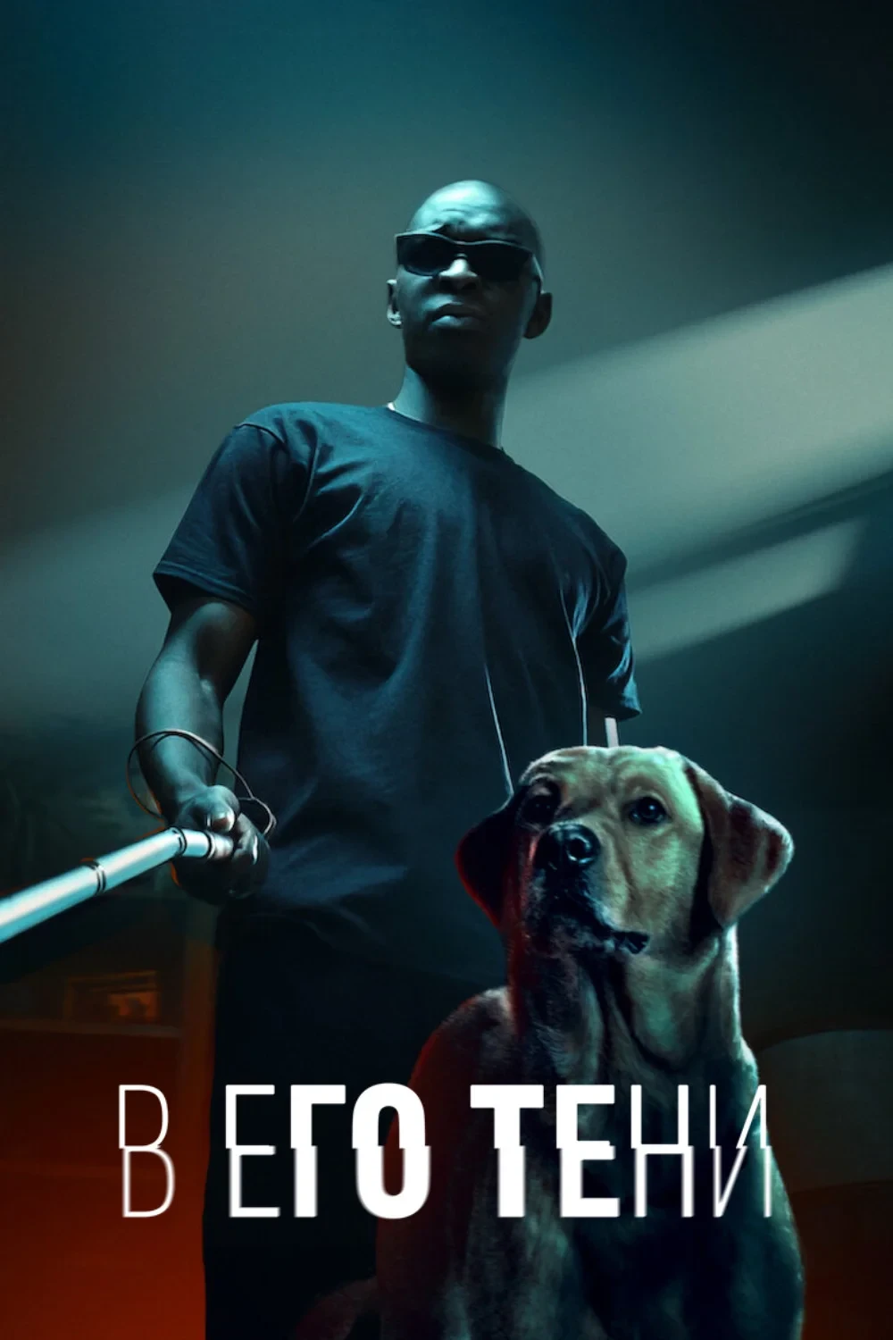 Постер фильма В его тени