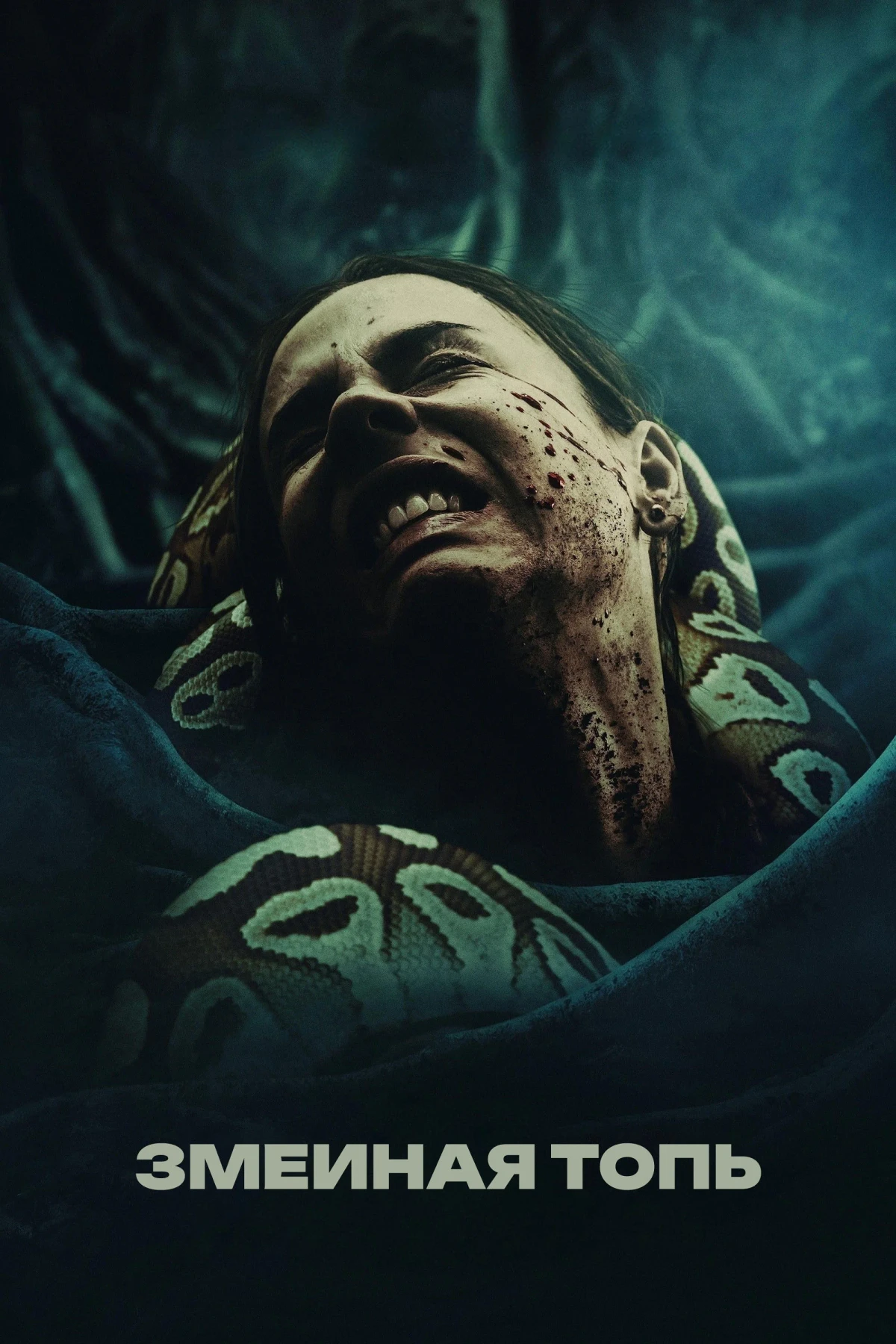 Постер фильма Змеиная топь