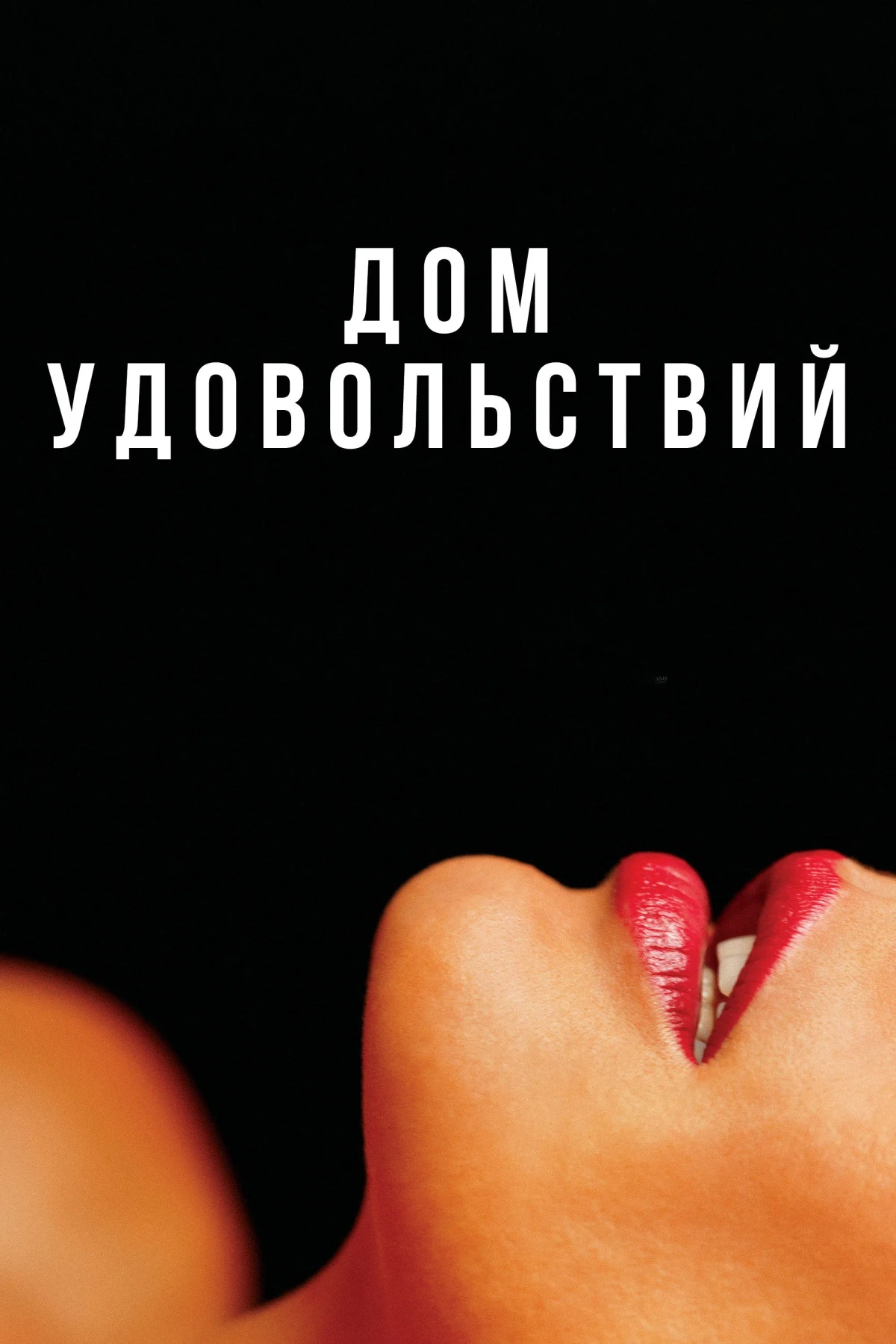 Постер фильма Дом удовольствий