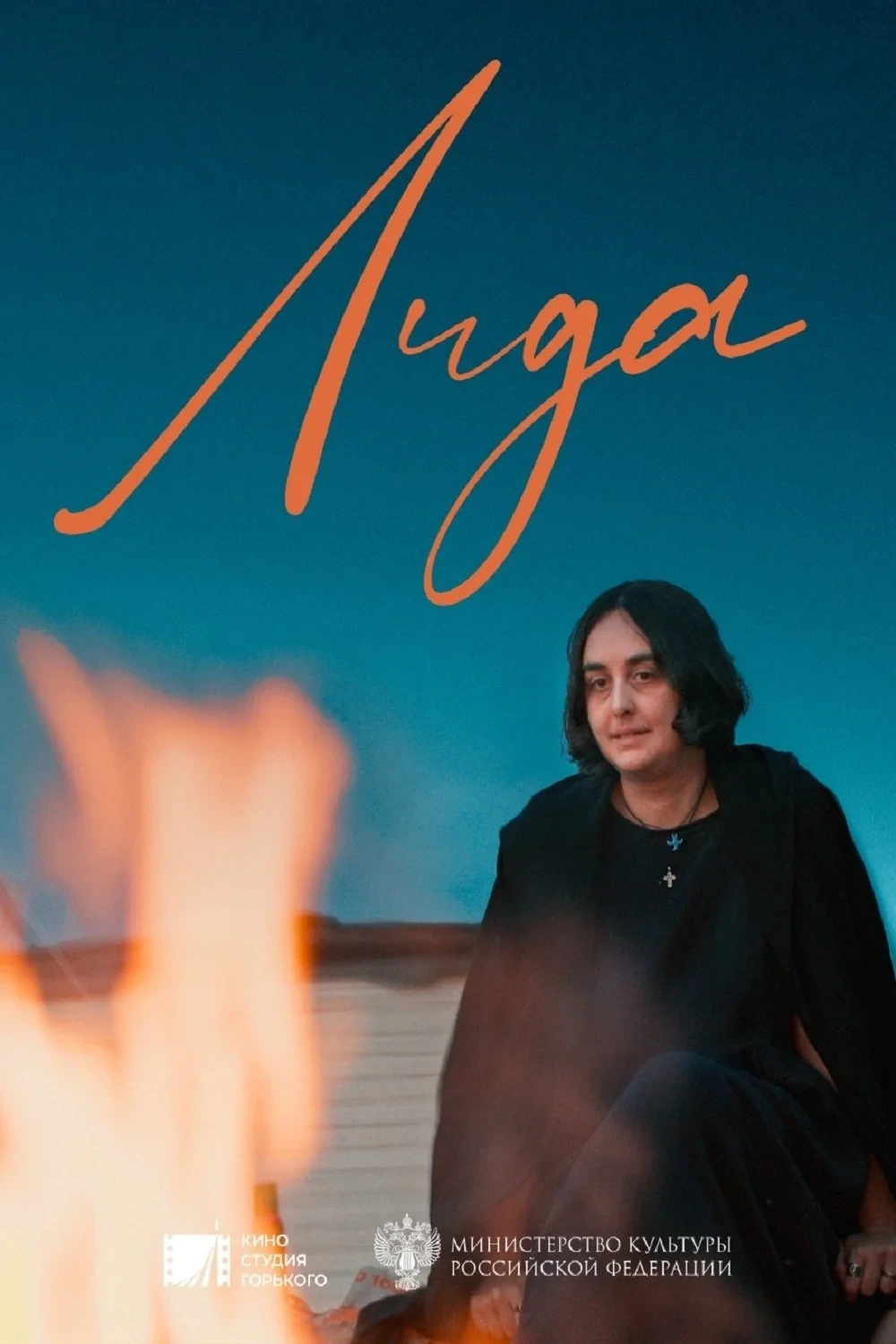 Постер фильма Лида