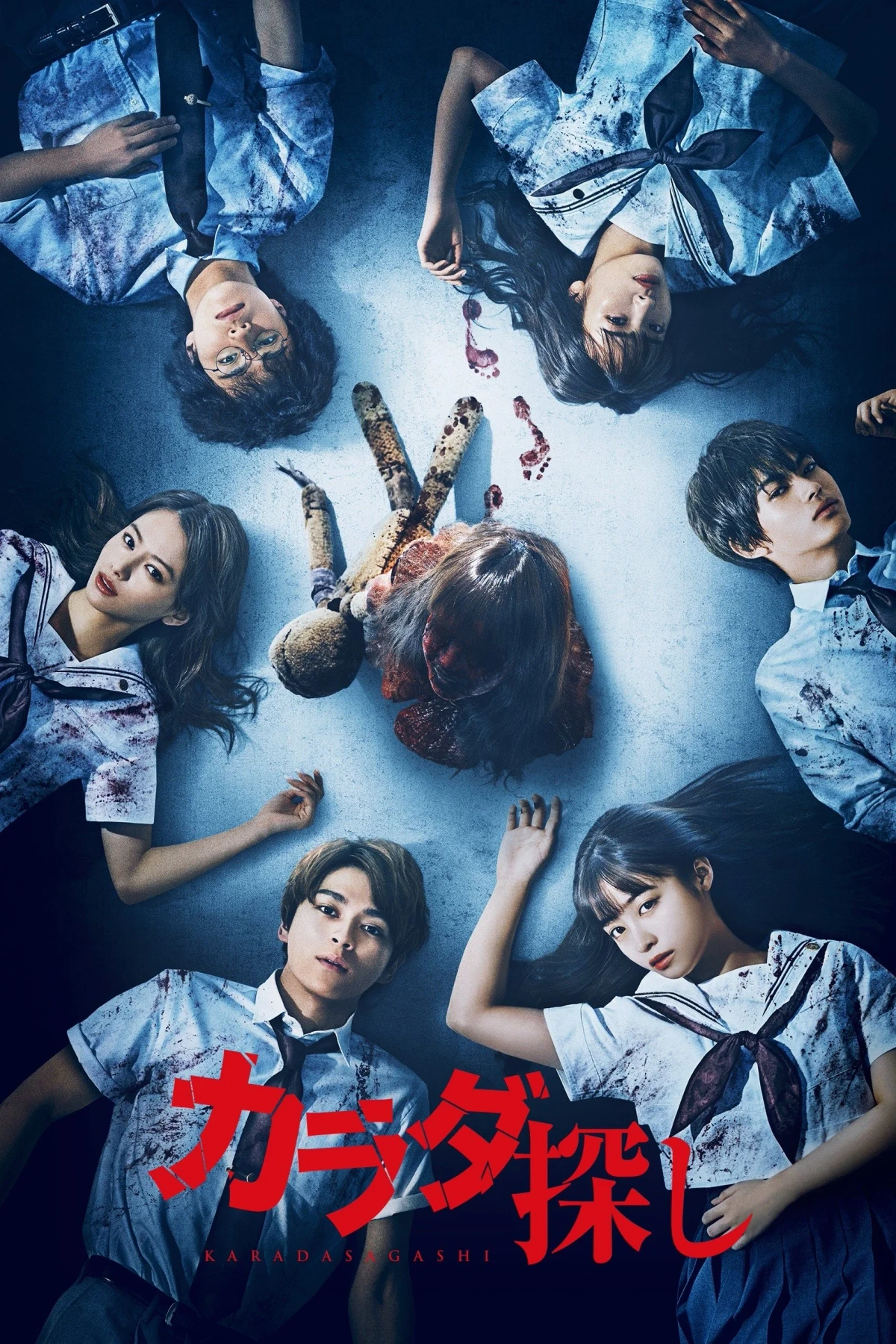 Постер фильма В поисках тела