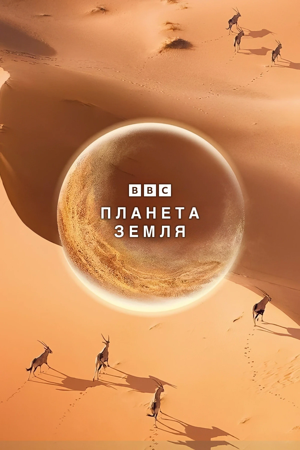 Постер сериалаПланета Земля
