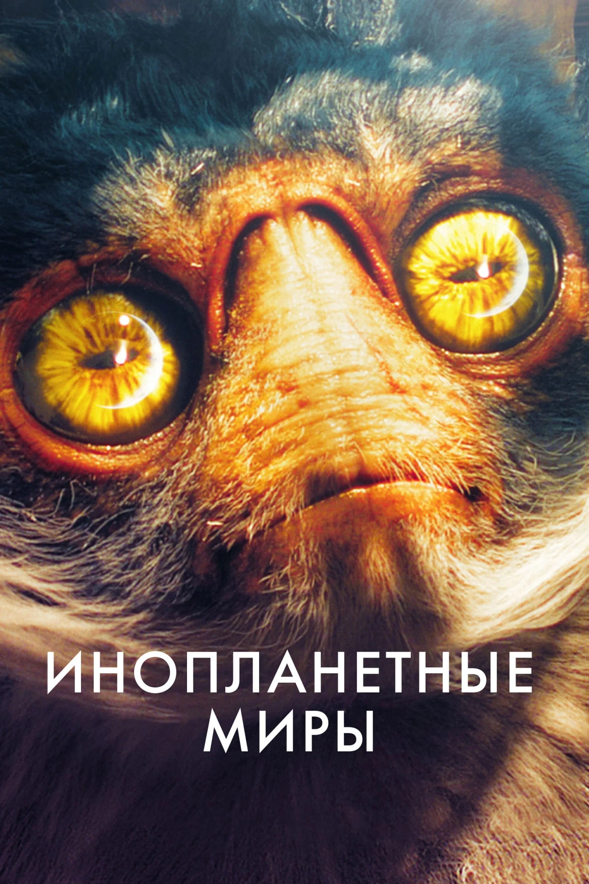 Постер сериалаИнопланетные миры