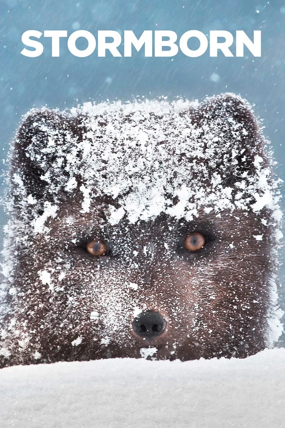 Постер сериалаРожденные бурей