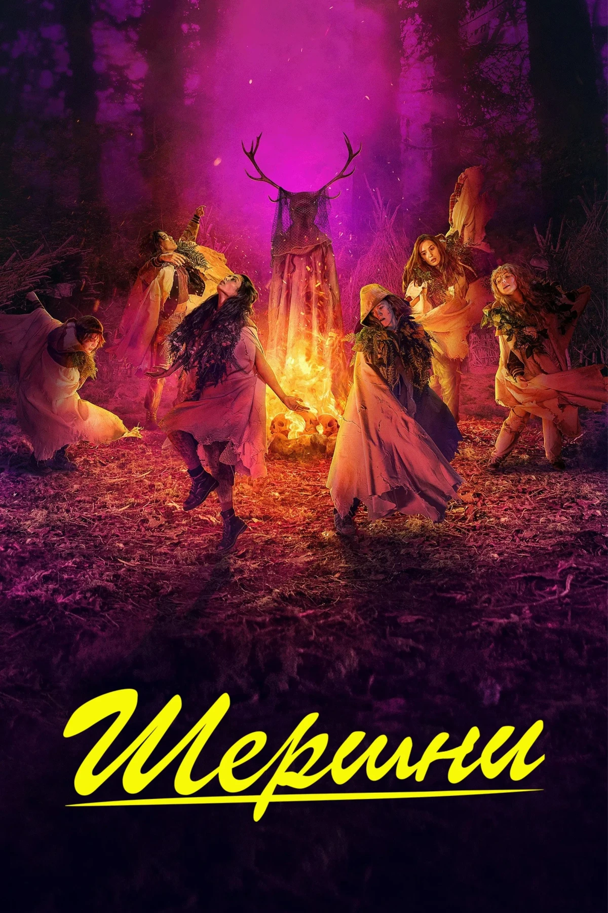 Постер сериалаШершни