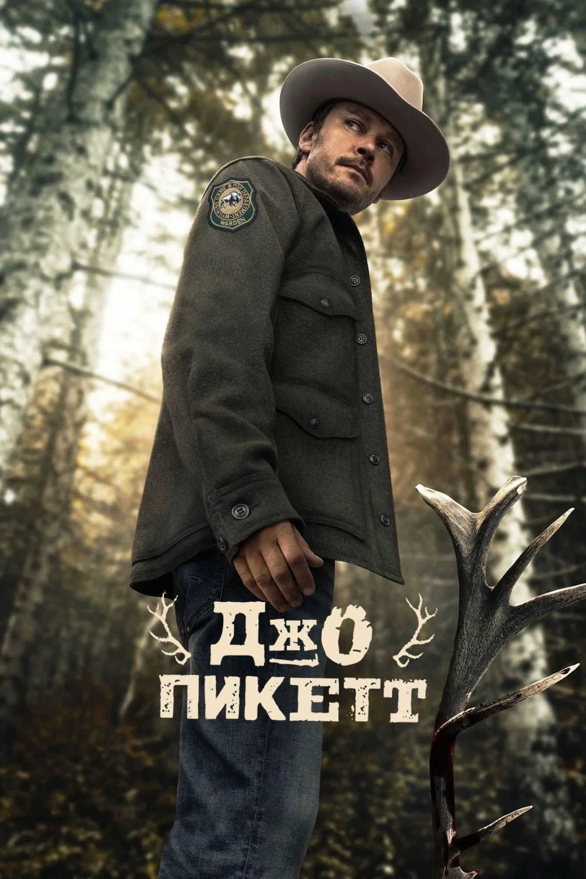 Постер сериалаДжо Пикетт