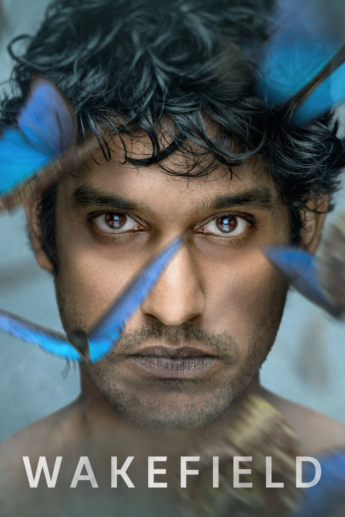 Постер сериалаБезумие в Уэйкфилде