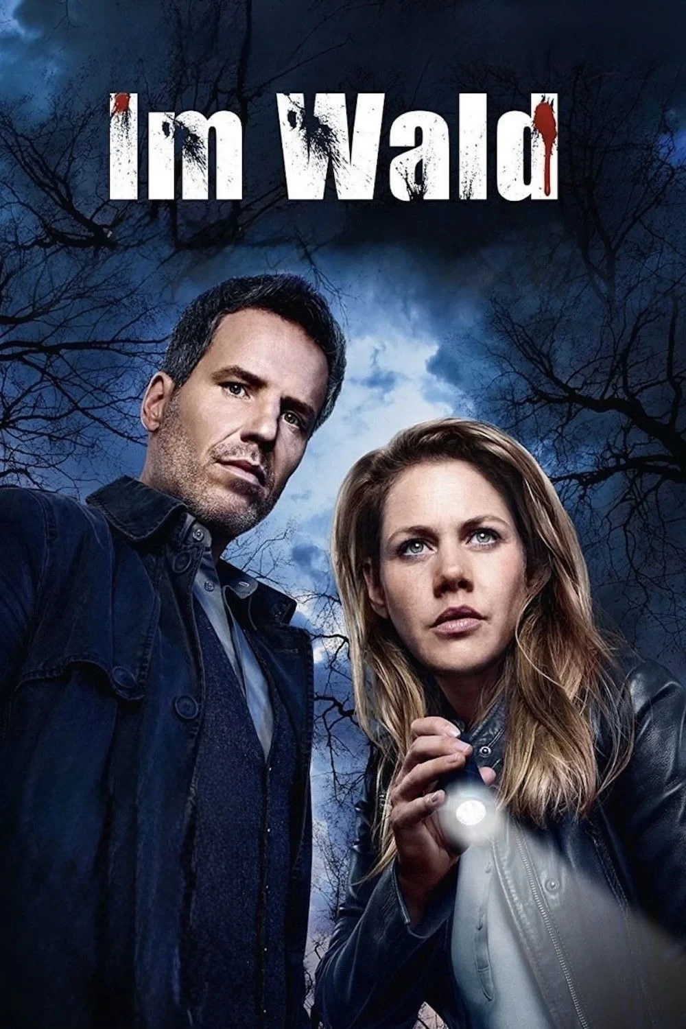 Постер сериалаВ лесу