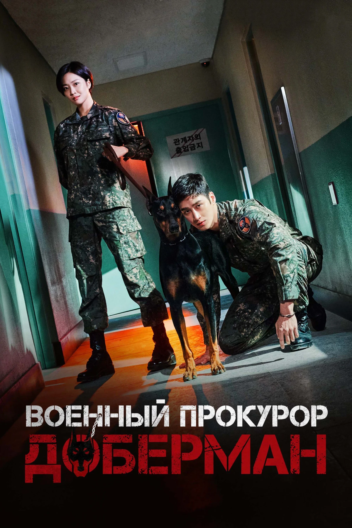Постер сериалаВоенный прокурор Доберман