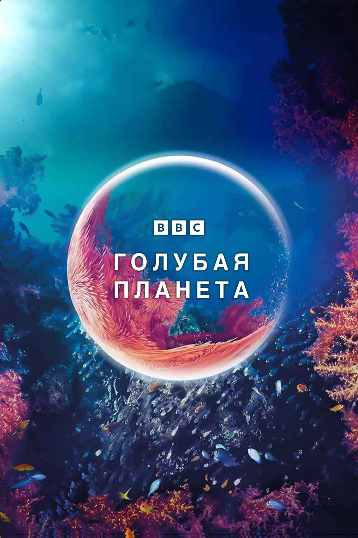 Постер сериалаГолубая планета