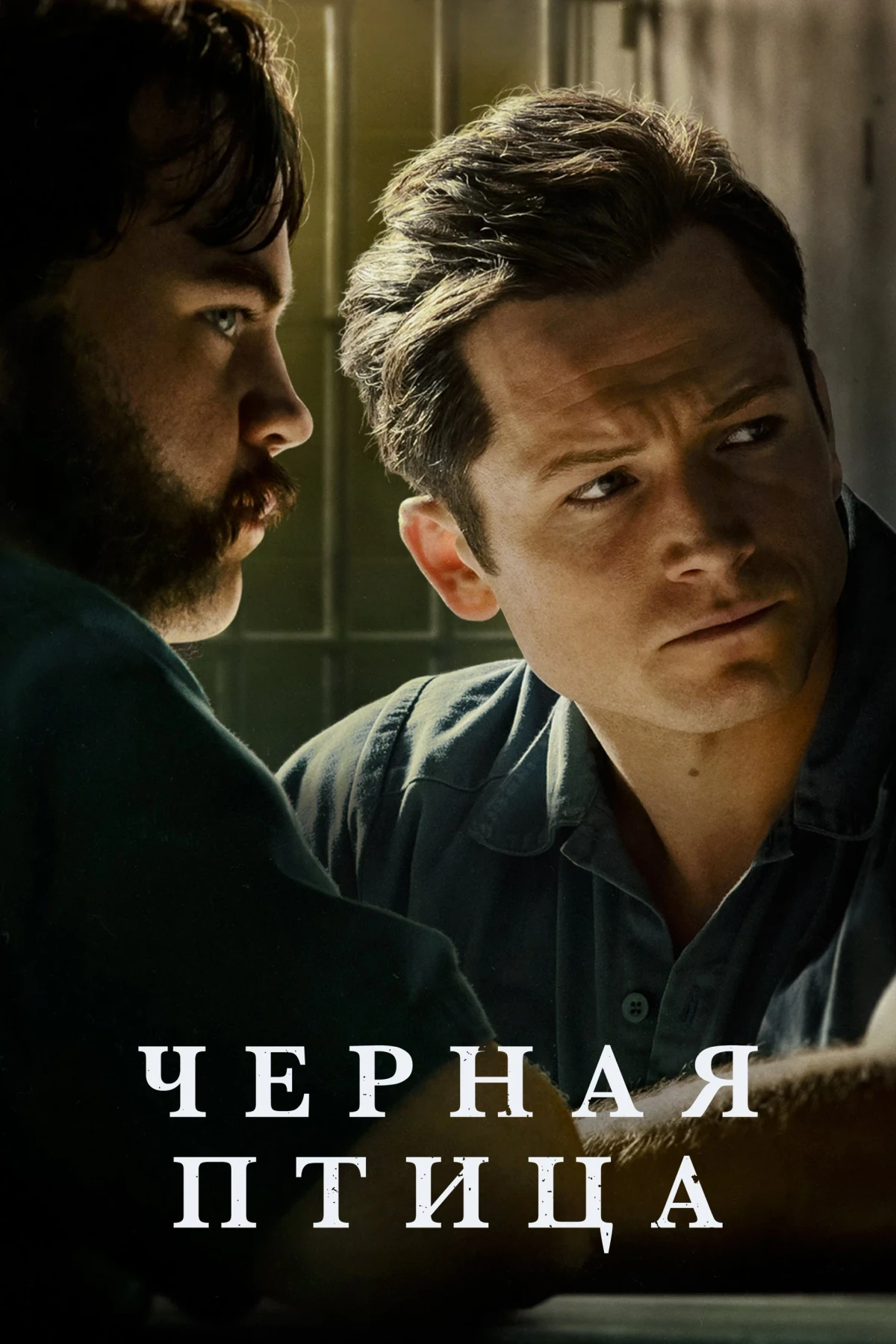 Постер сериалаЧерная птица