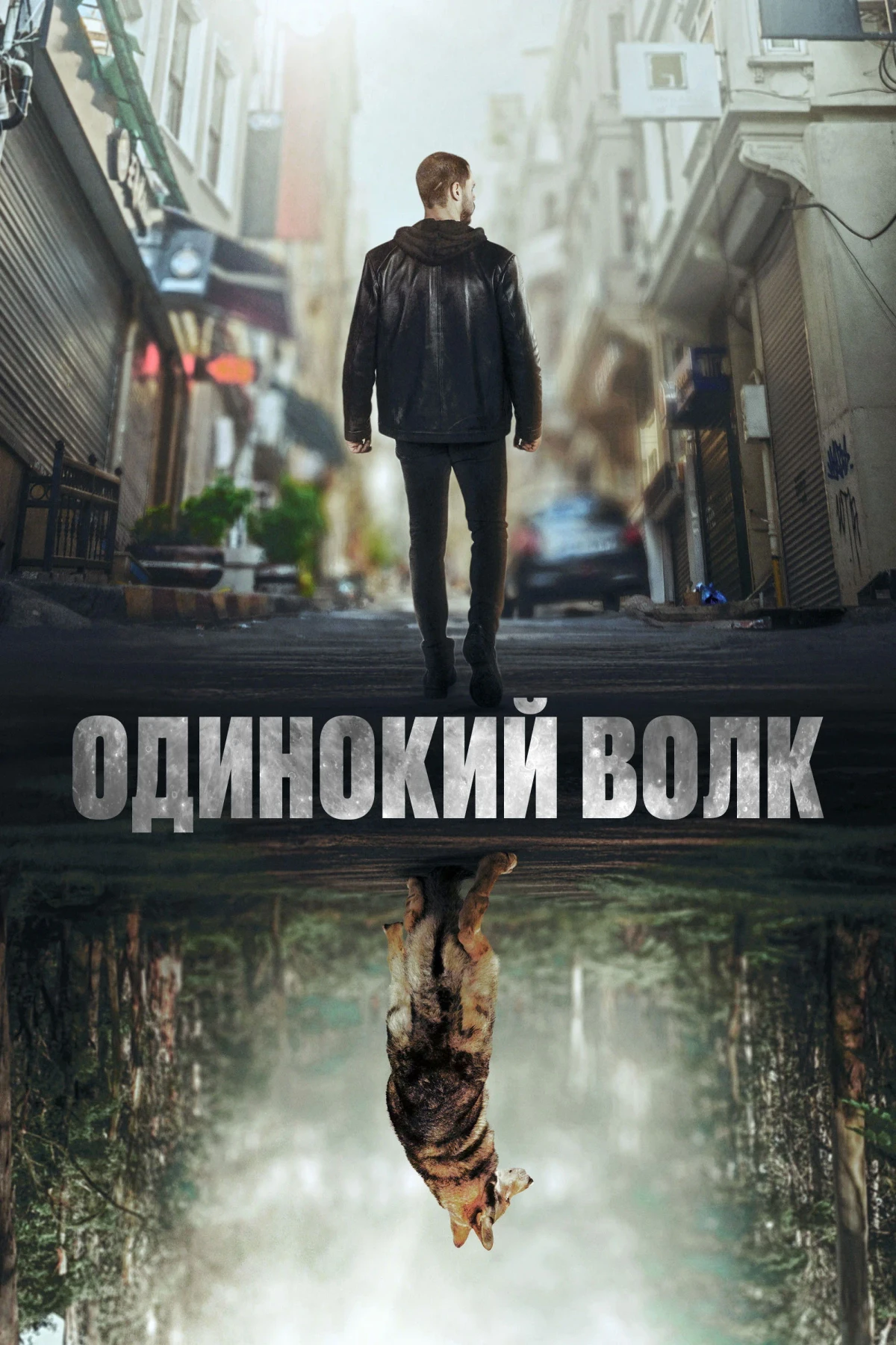 Постер сериалаОдинокий волк