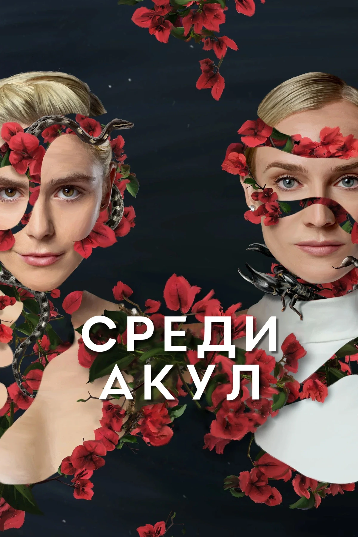 Постер сериалаСреди акул