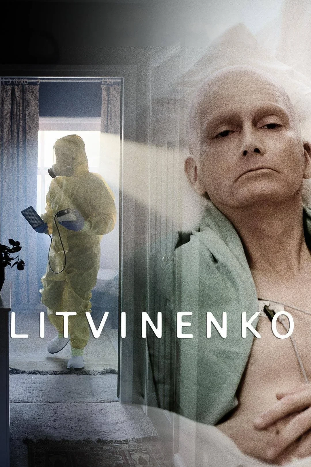 Постер сериалаЛитвиненко