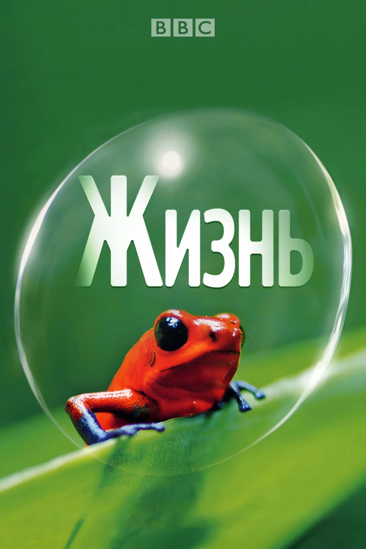 Постер сериалаЖизнь