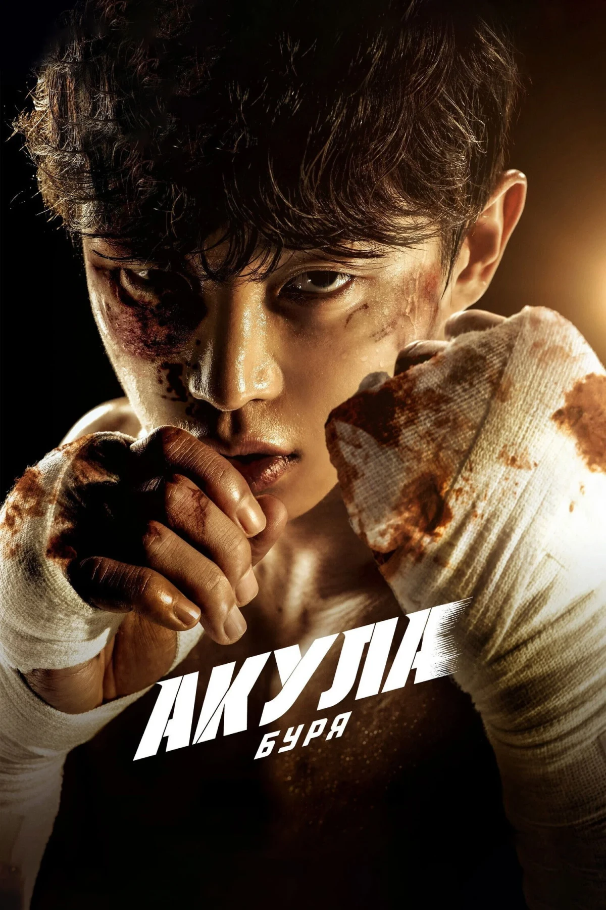 Постер сериалаАкула: Буря