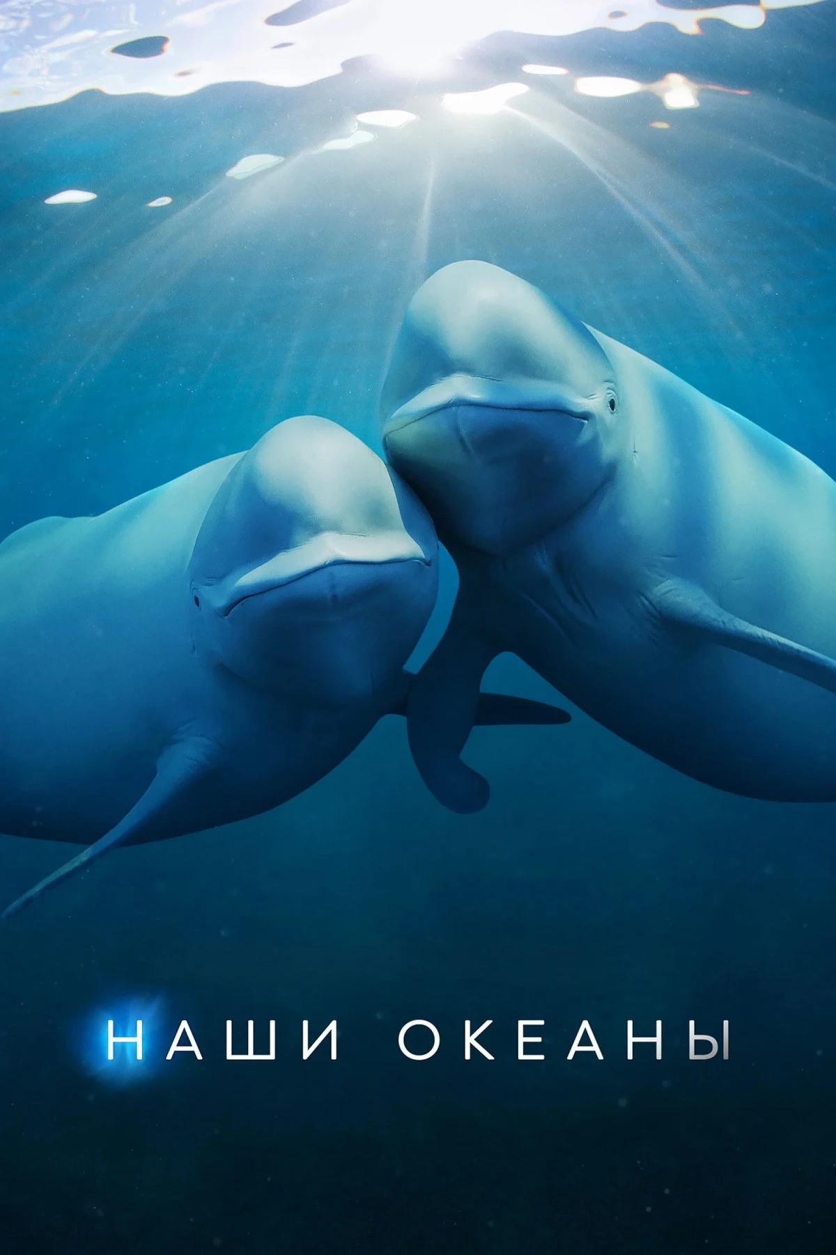 Постер сериалаНаши океаны