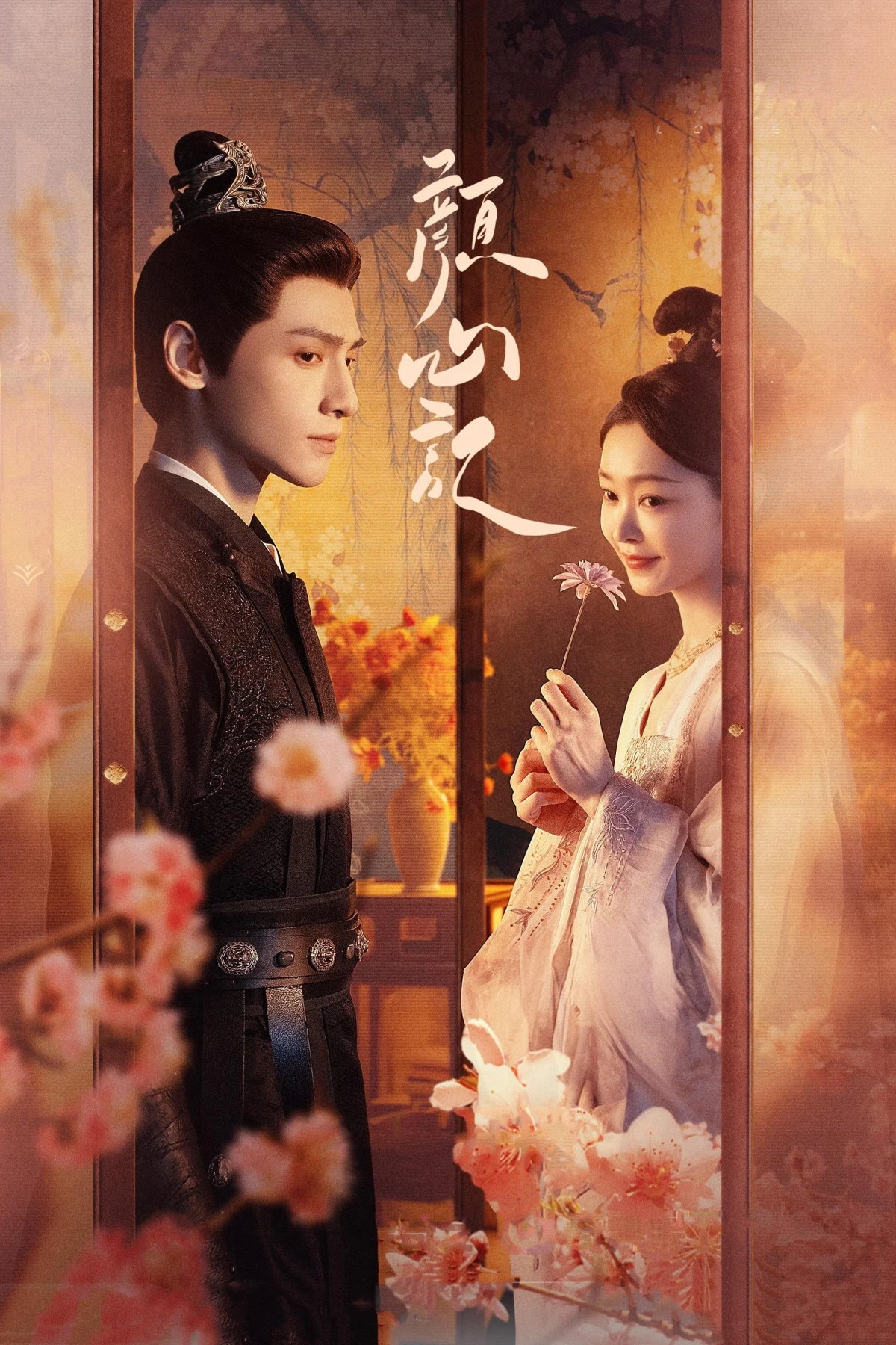 Постер сериалаСледуй за своим сердцем