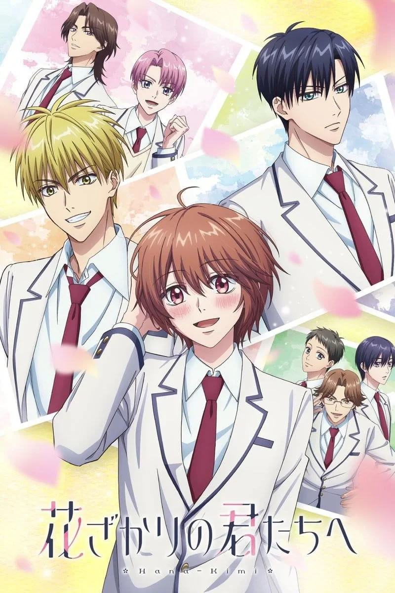 Постер сериала花ざかりの君たちへ