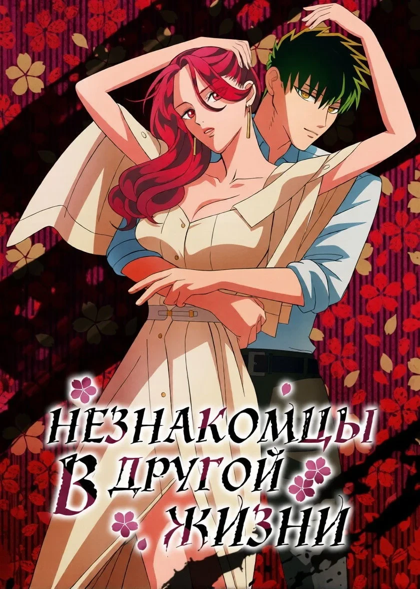 Постер сериалаНезнакомец для другой жизни