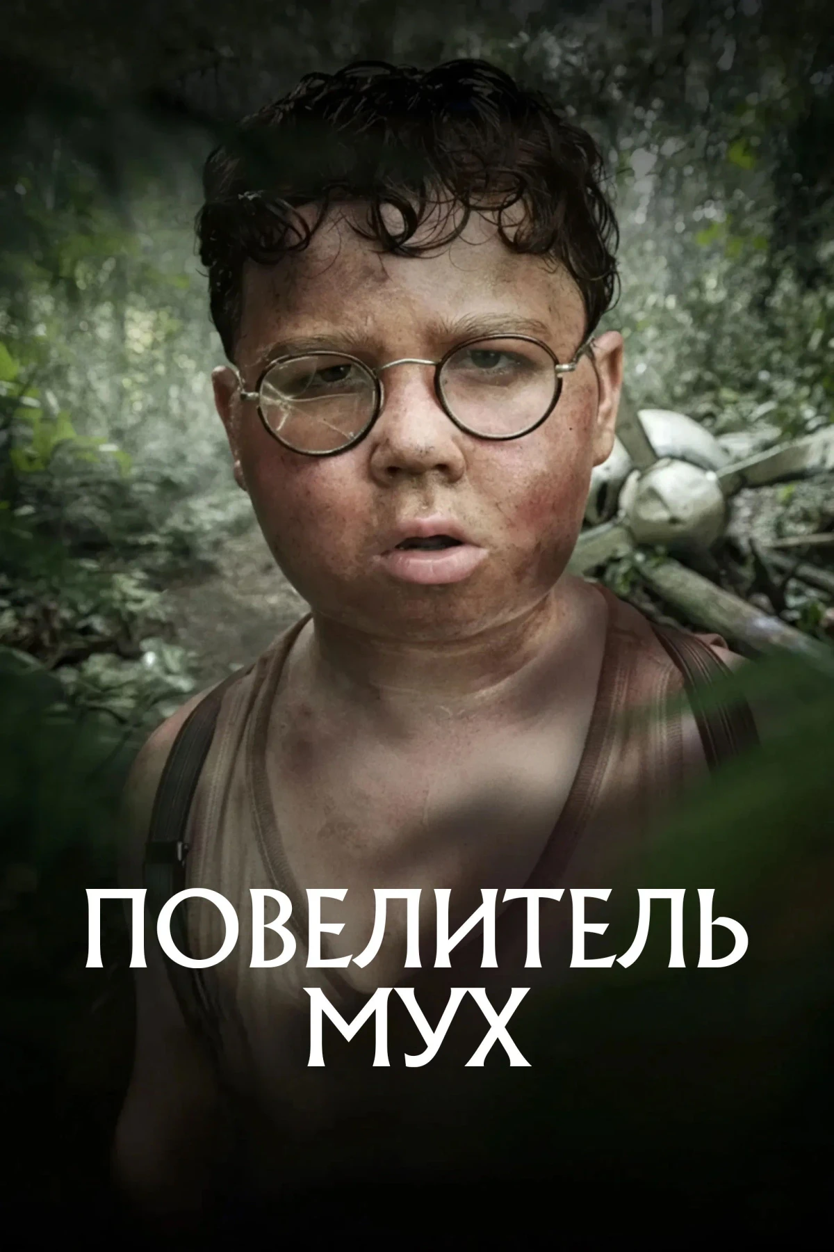 Постер сериалаПовелитель мух
