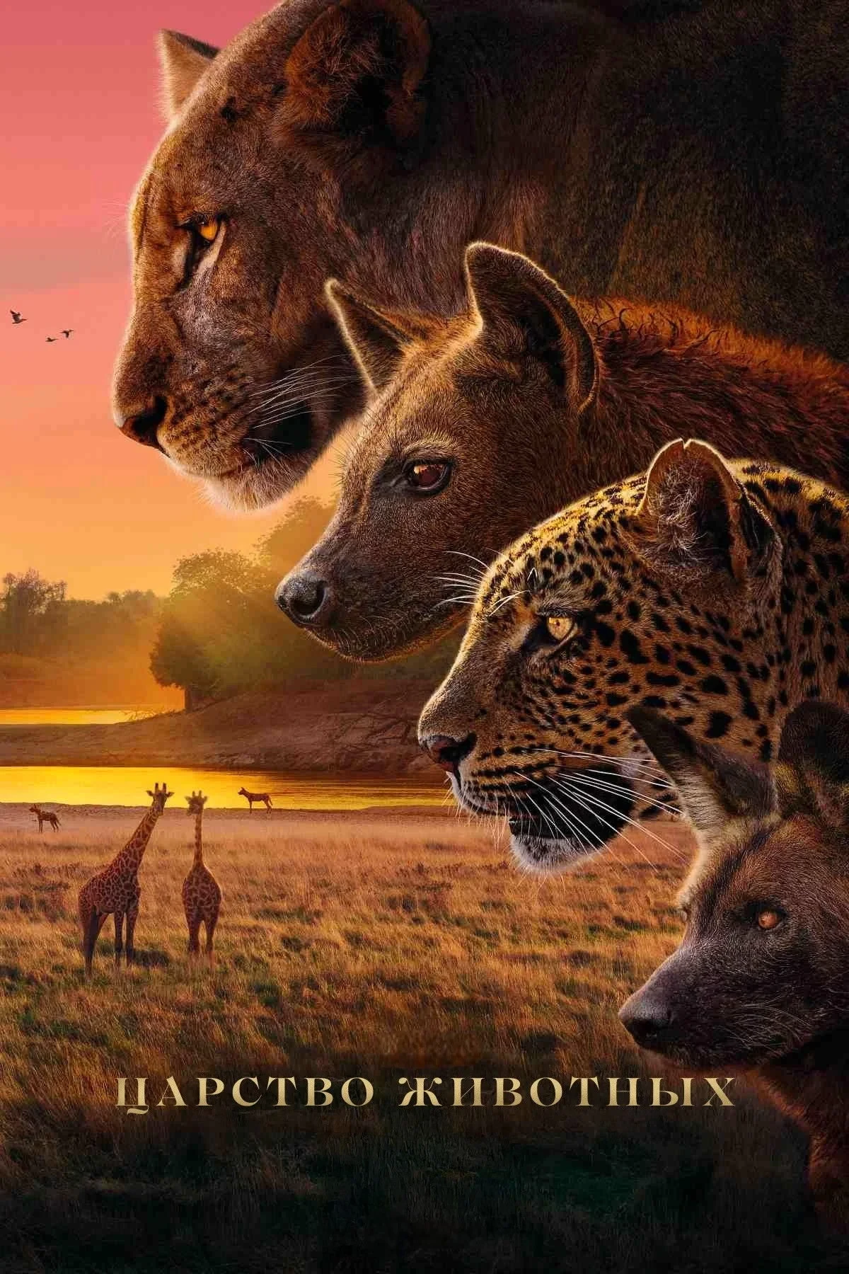 Постер сериалаКоролевство