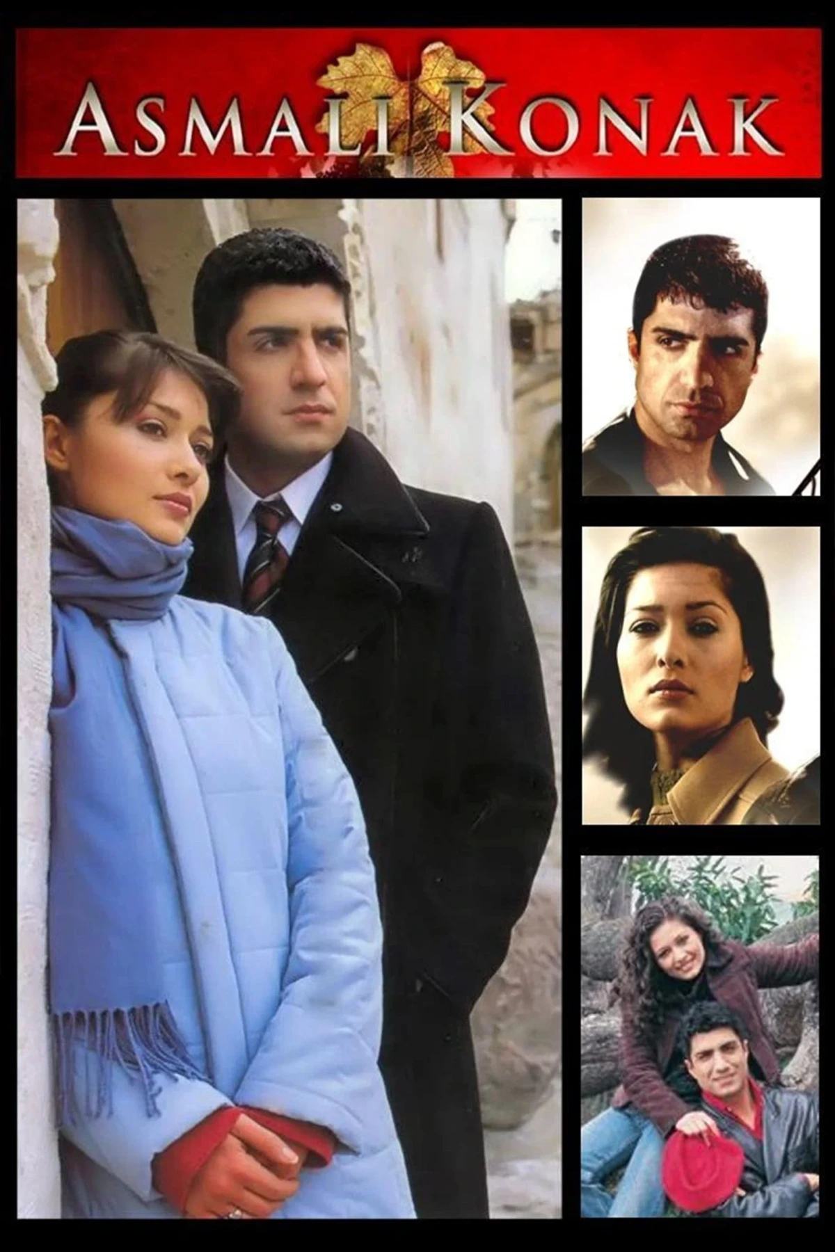 Постер сериалаОсобняк с виноградными лозами