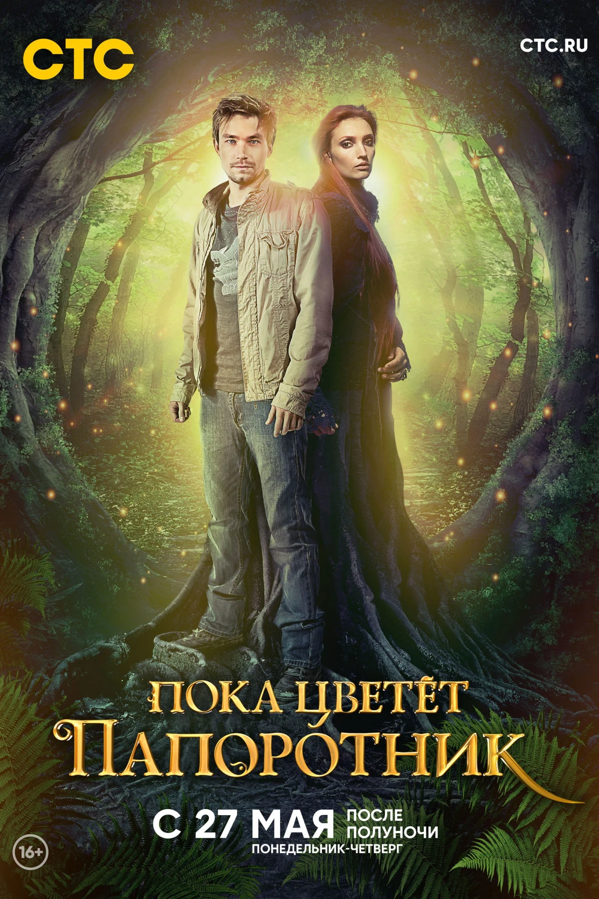 Постер сериалаПока цветёт папоротник