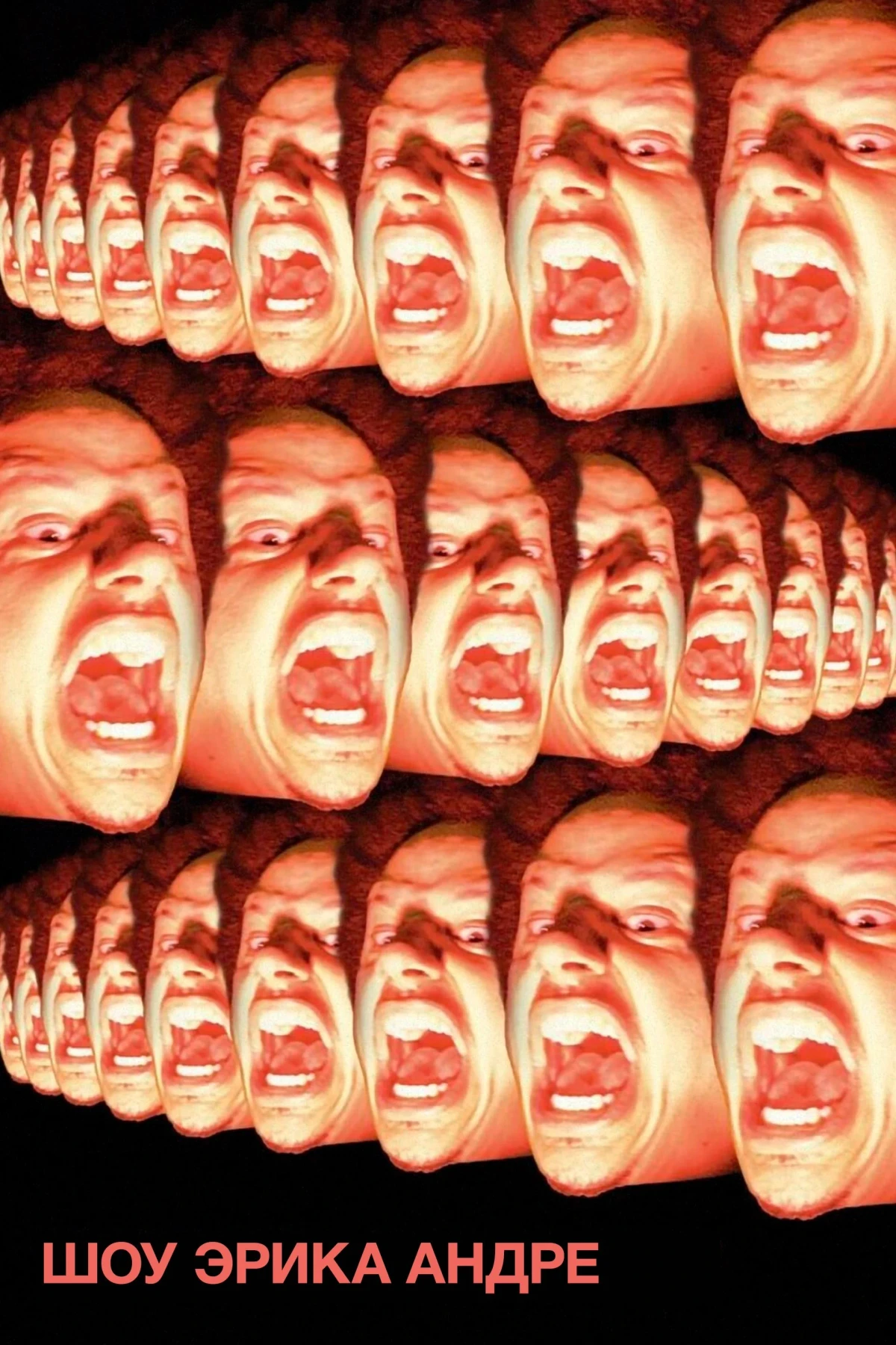 Постер сериалаШоу Эрика Андре