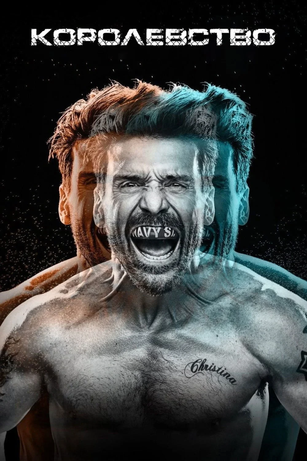 Постер сериалаКоролевство