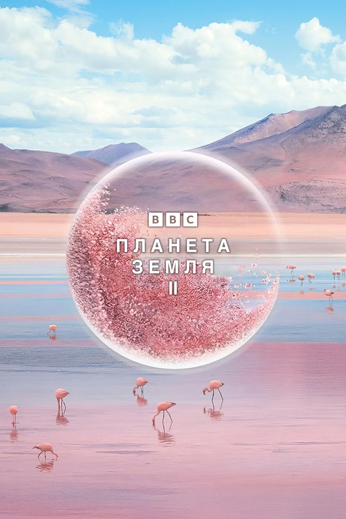 Постер сериалаПланета Земля 2